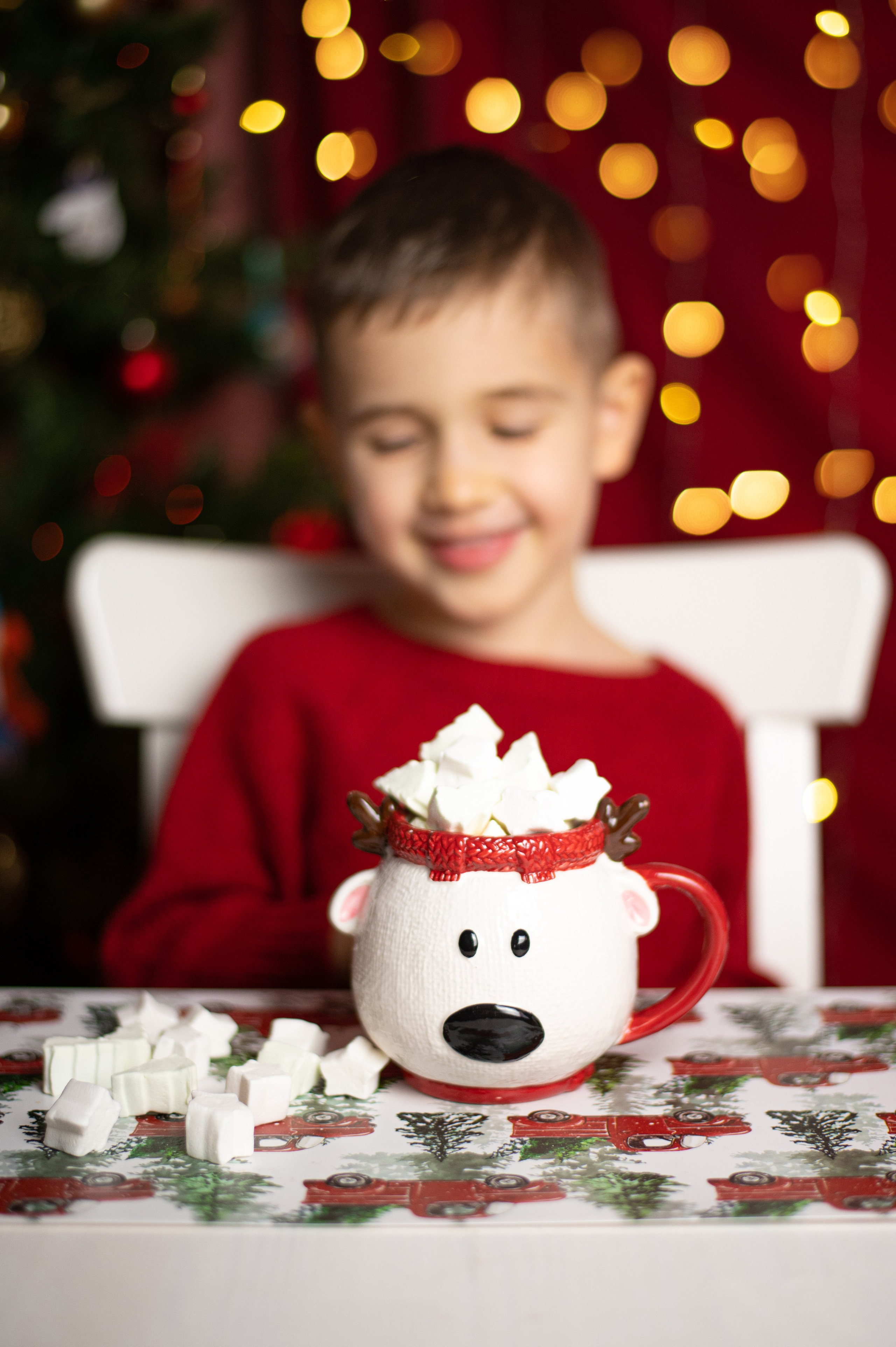 Какао с маршмеллоу. Фотограф Санкт-Петербург | Дарья Першина