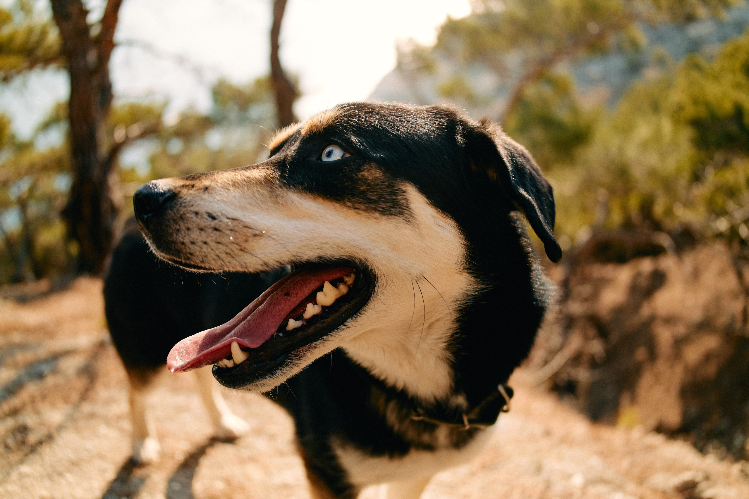 Юг России. Профессиональный Фотограф во Владимире, в Москве и в Суздале — Полина Романычева