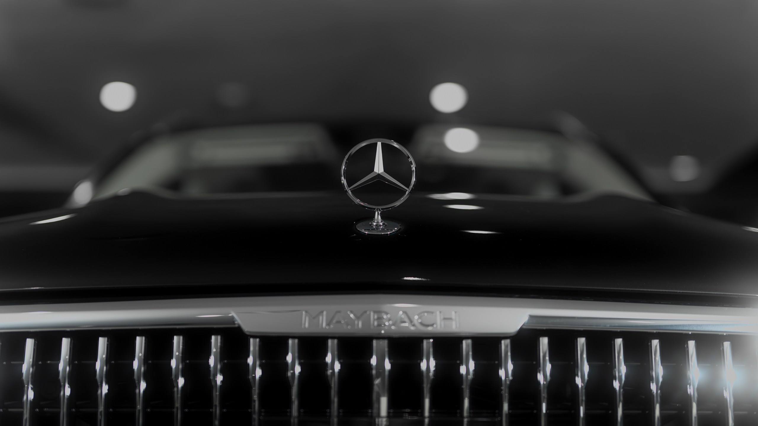 GLS 600. Фотограф Ярослав Скуратов