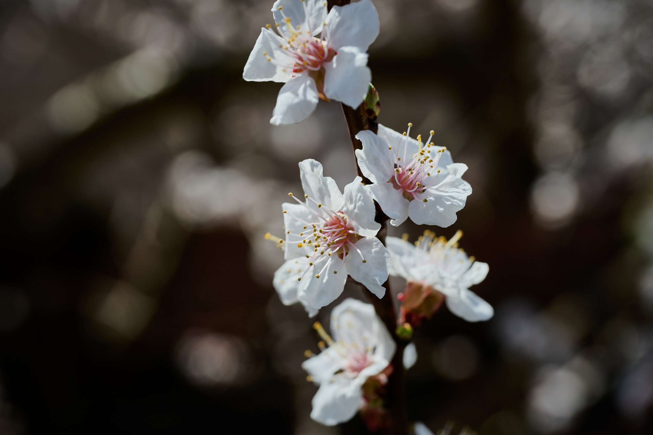 Мелитополь. Фотопроект «Территории»
