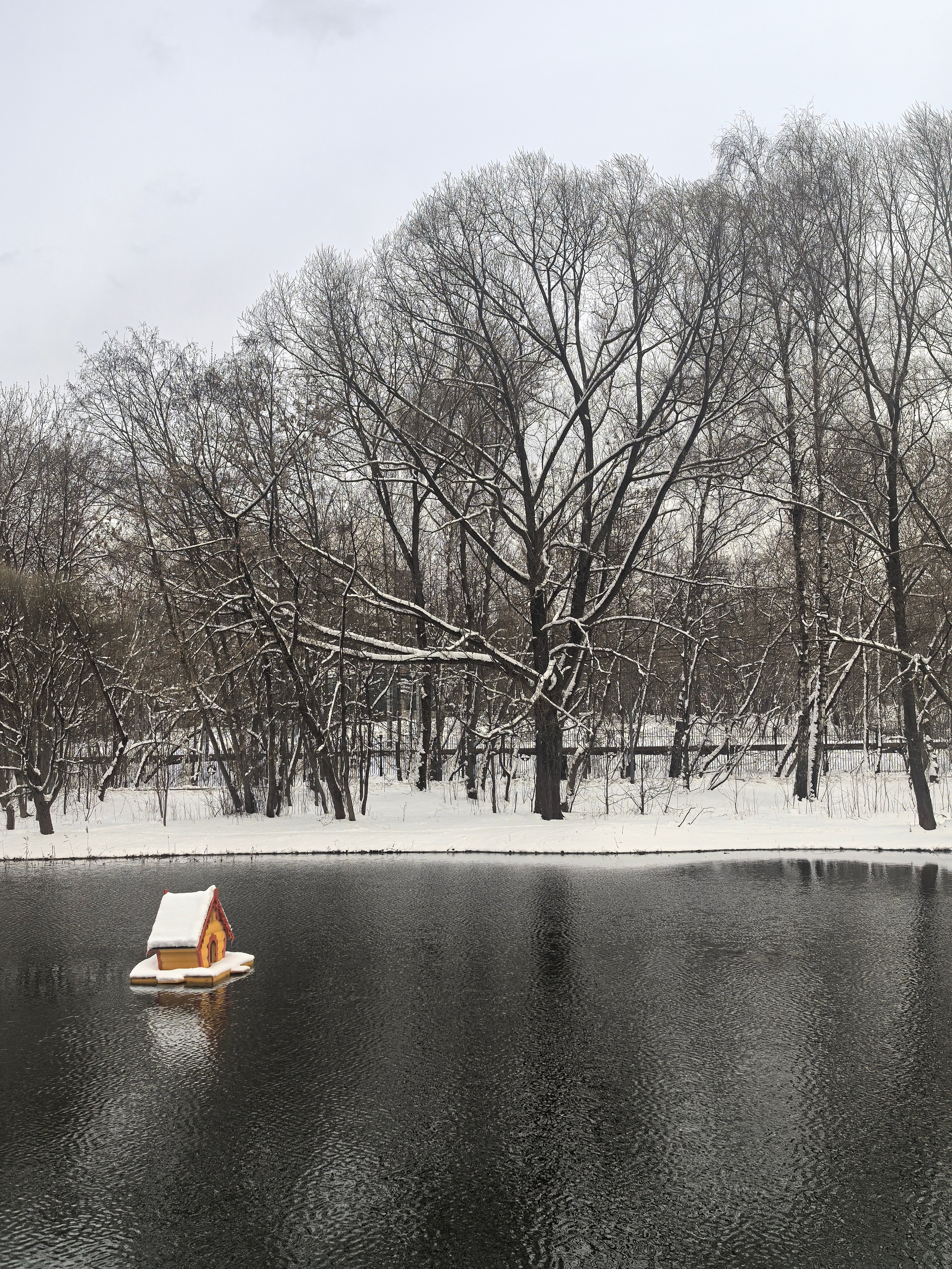 Покровско-Стрешнево. Школьные выпускные альбомы в Москве Марина Николаева