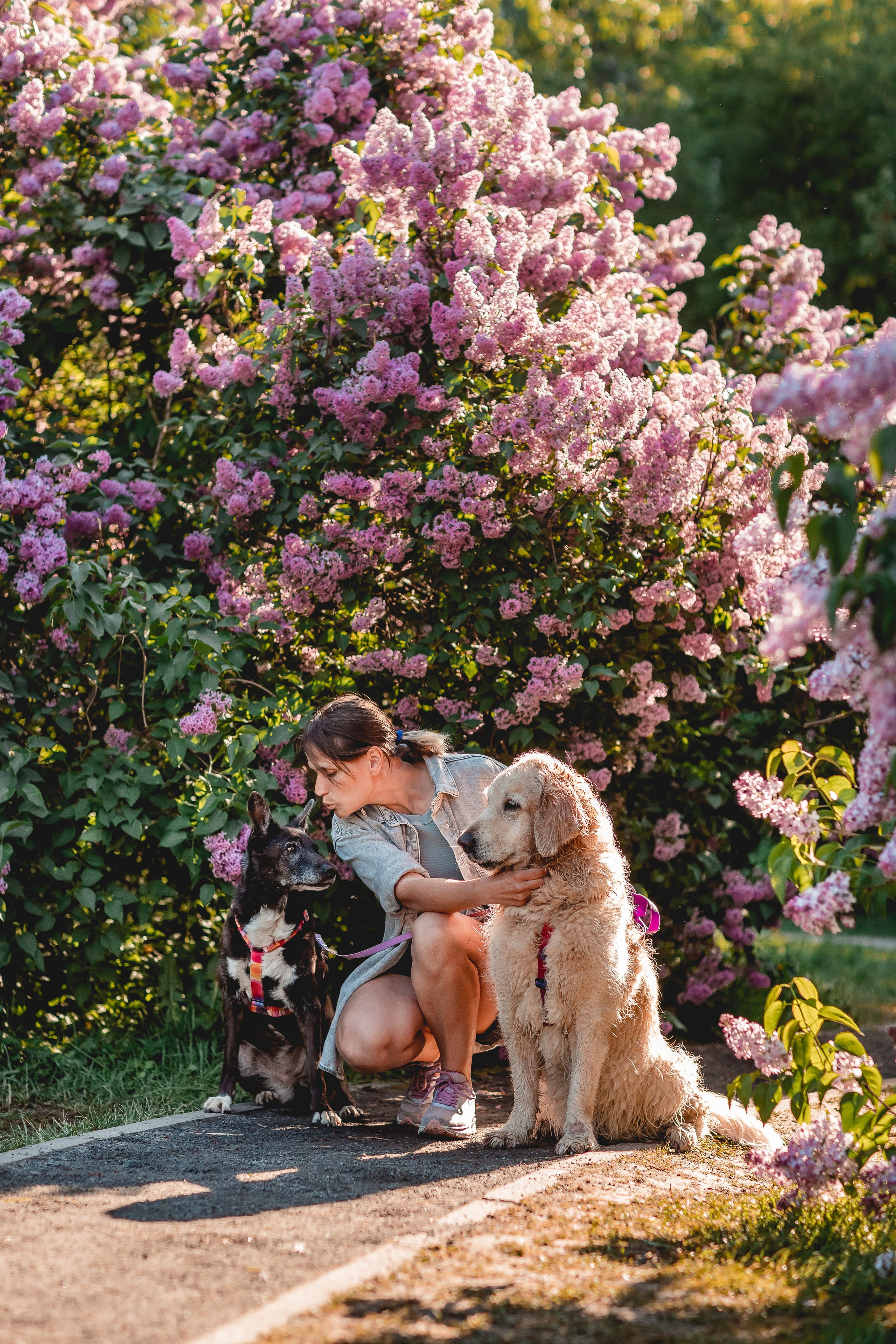 Ира, Альма и Белла. Семейный фотограф анималист Мария Крючкова