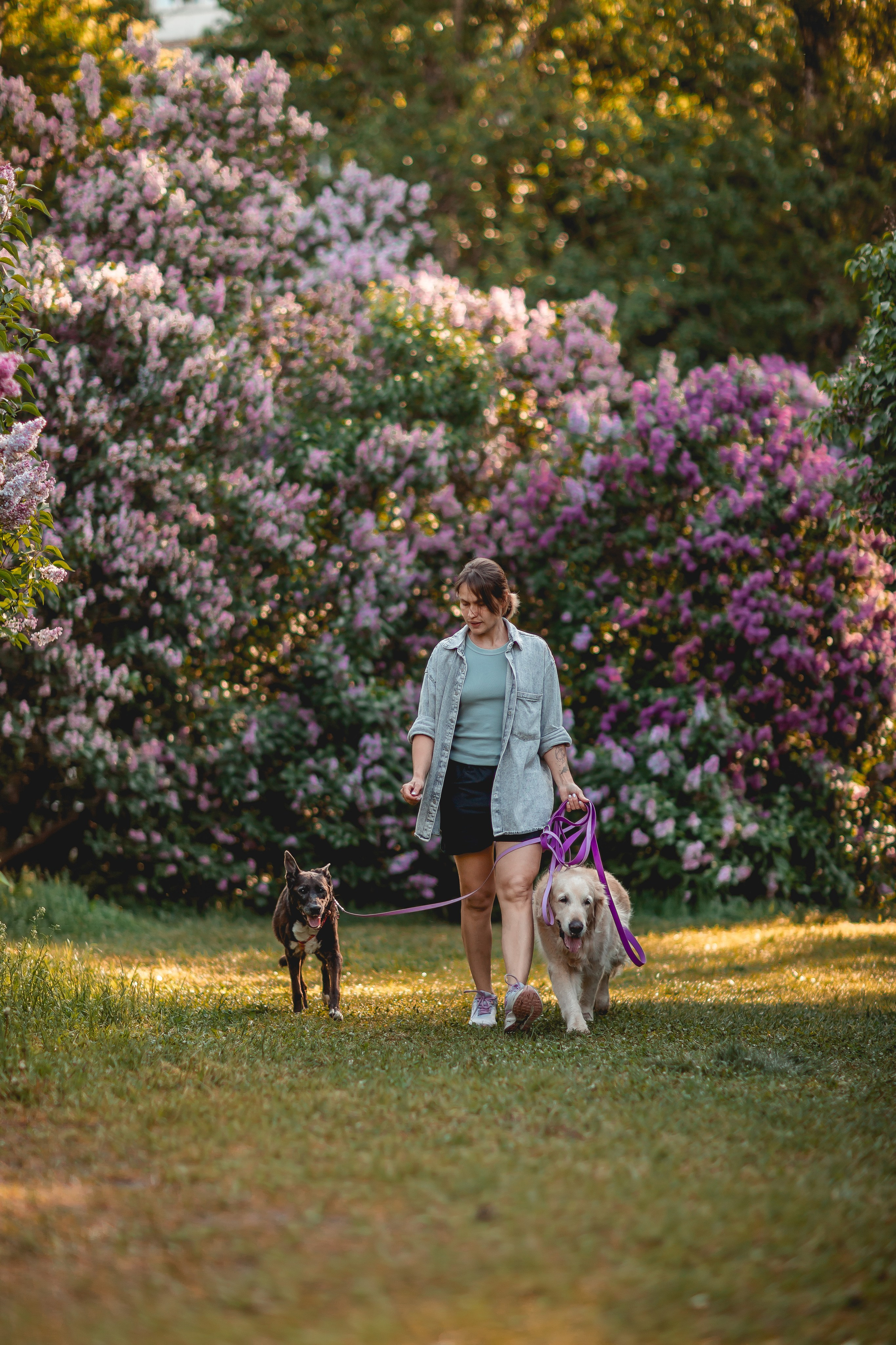 Ира, Альма и Белла. Семейный фотограф анималист Мария Крючкова