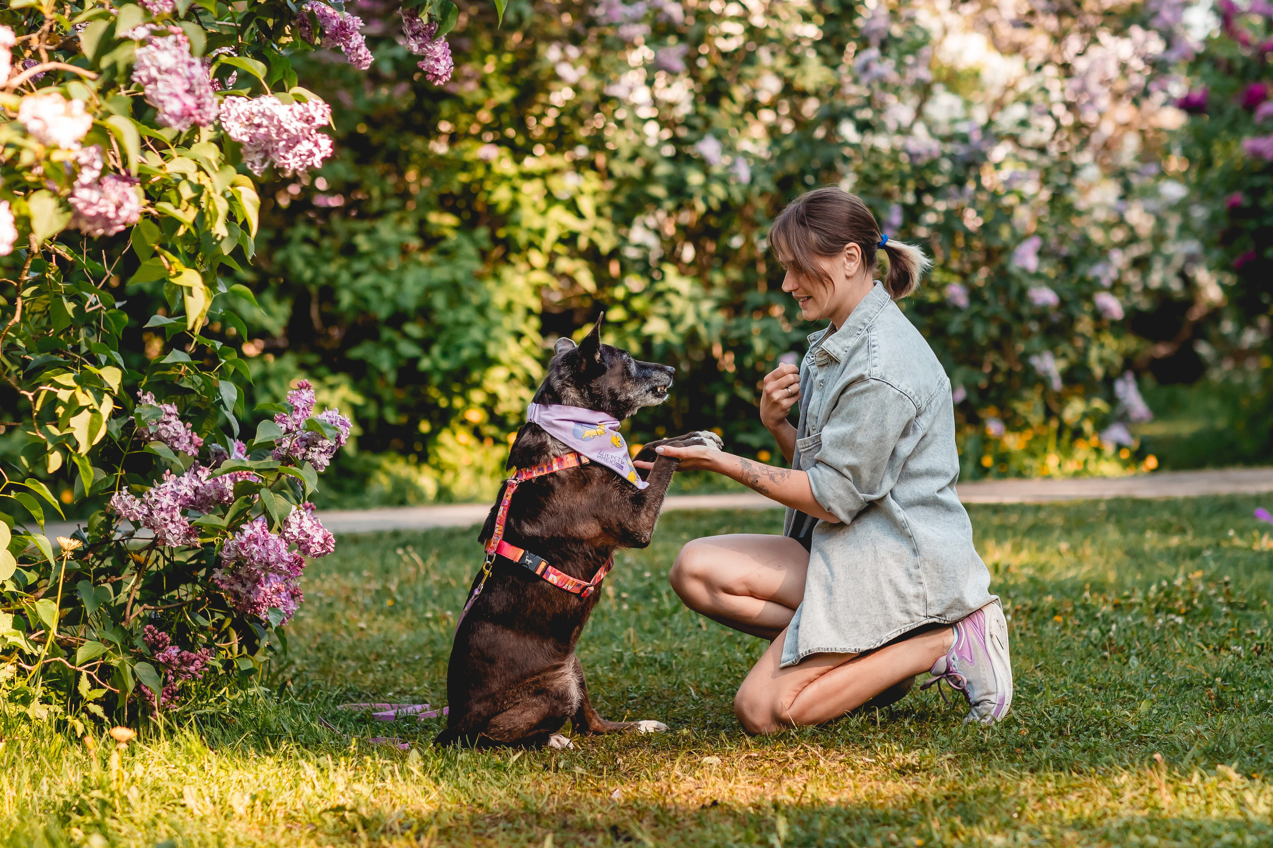 Ира, Альма и Белла. Семейный фотограф анималист Мария Крючкова