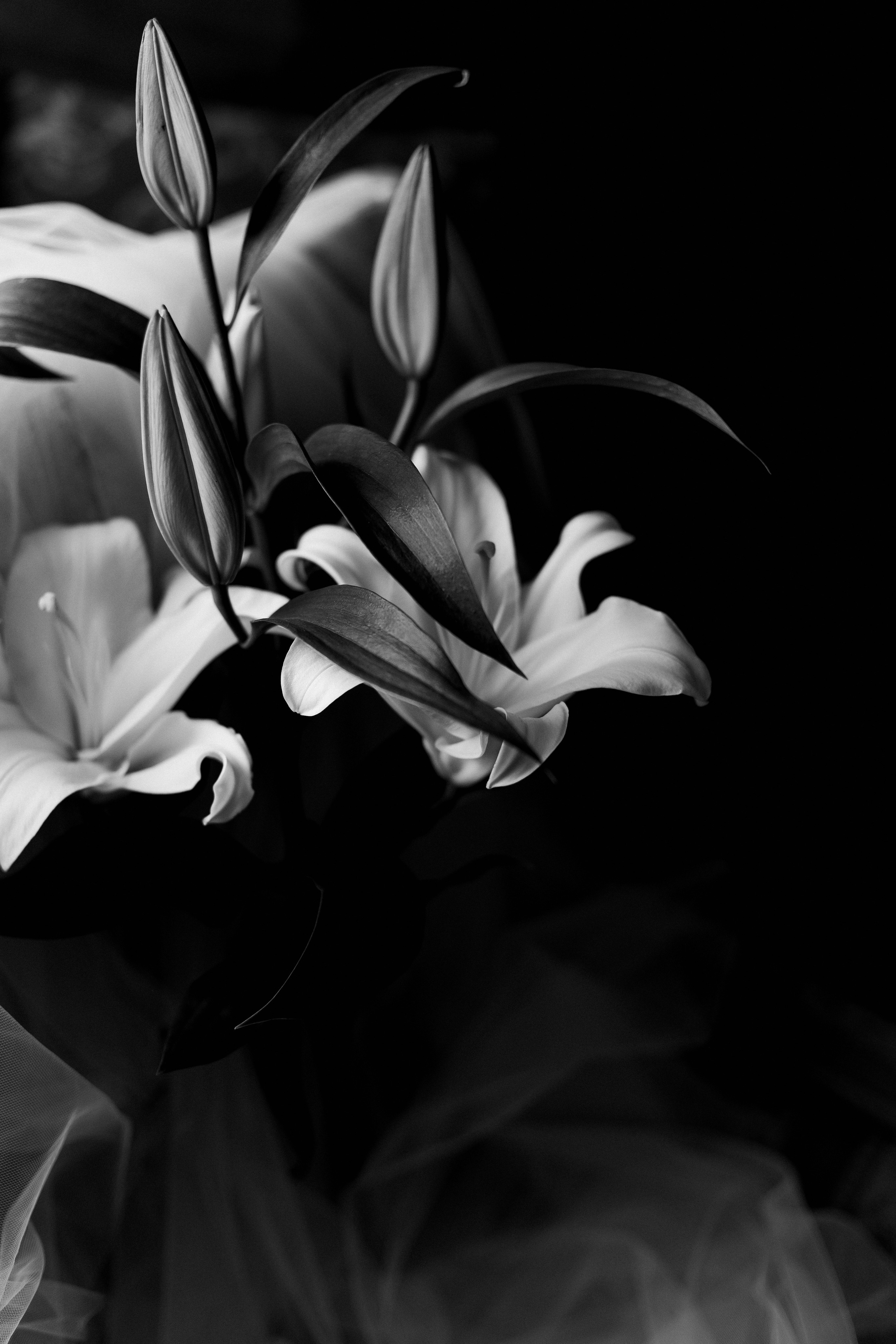 «Как же мне все нравится!». Майя Алиева Свадебный фотограф в Санкт-Петербурге