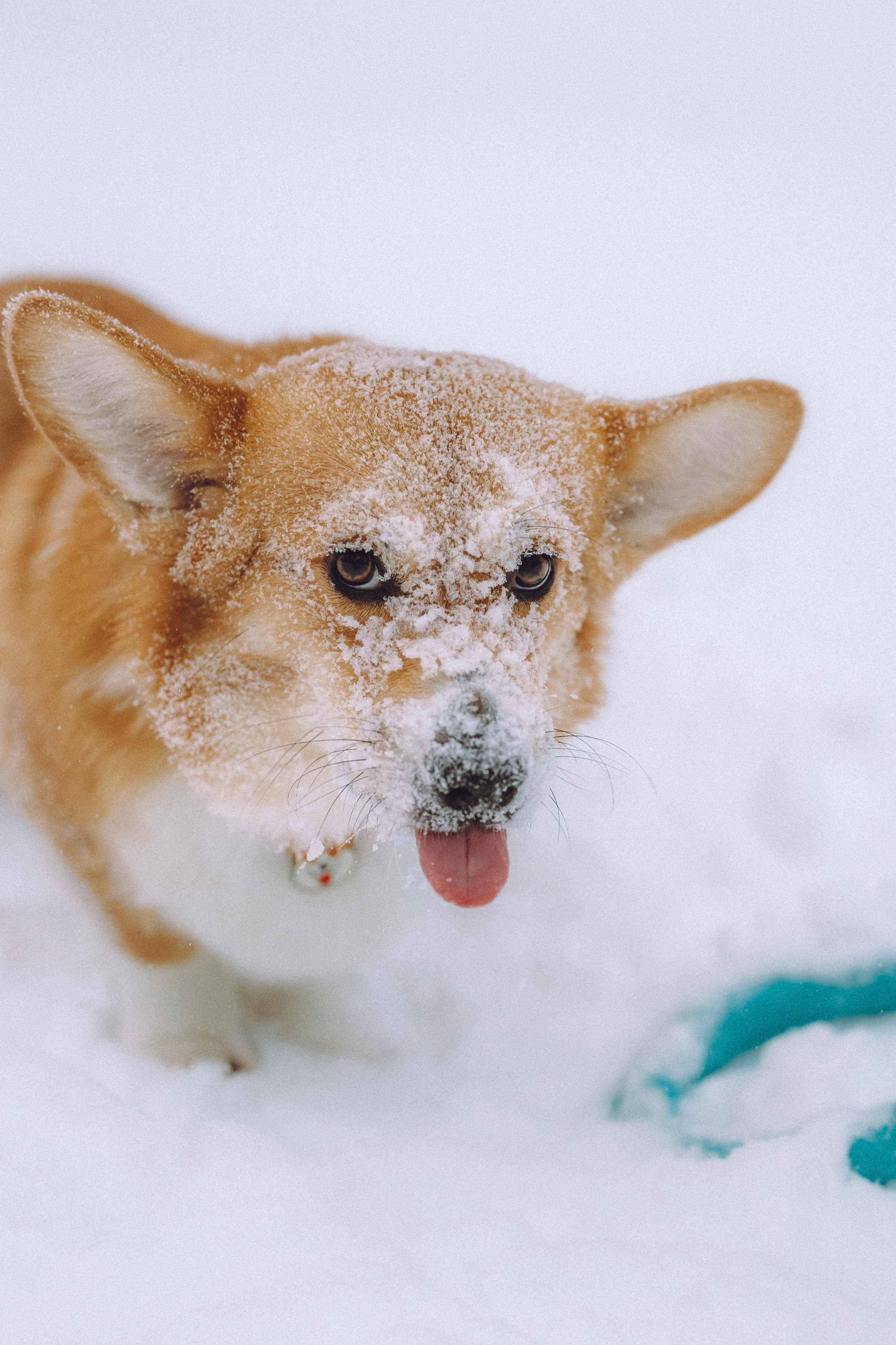 Юля и Юпитер