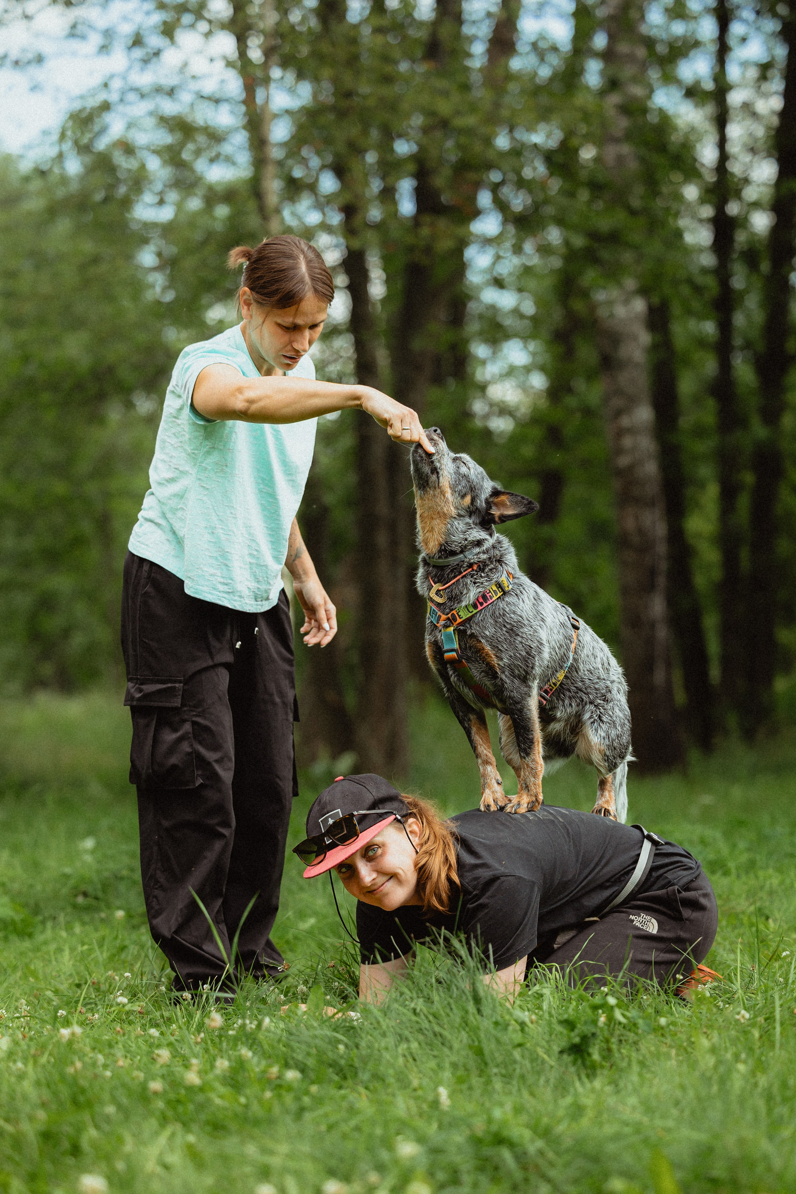 Выездной дог-тренинг от школы «Шерсть имею»