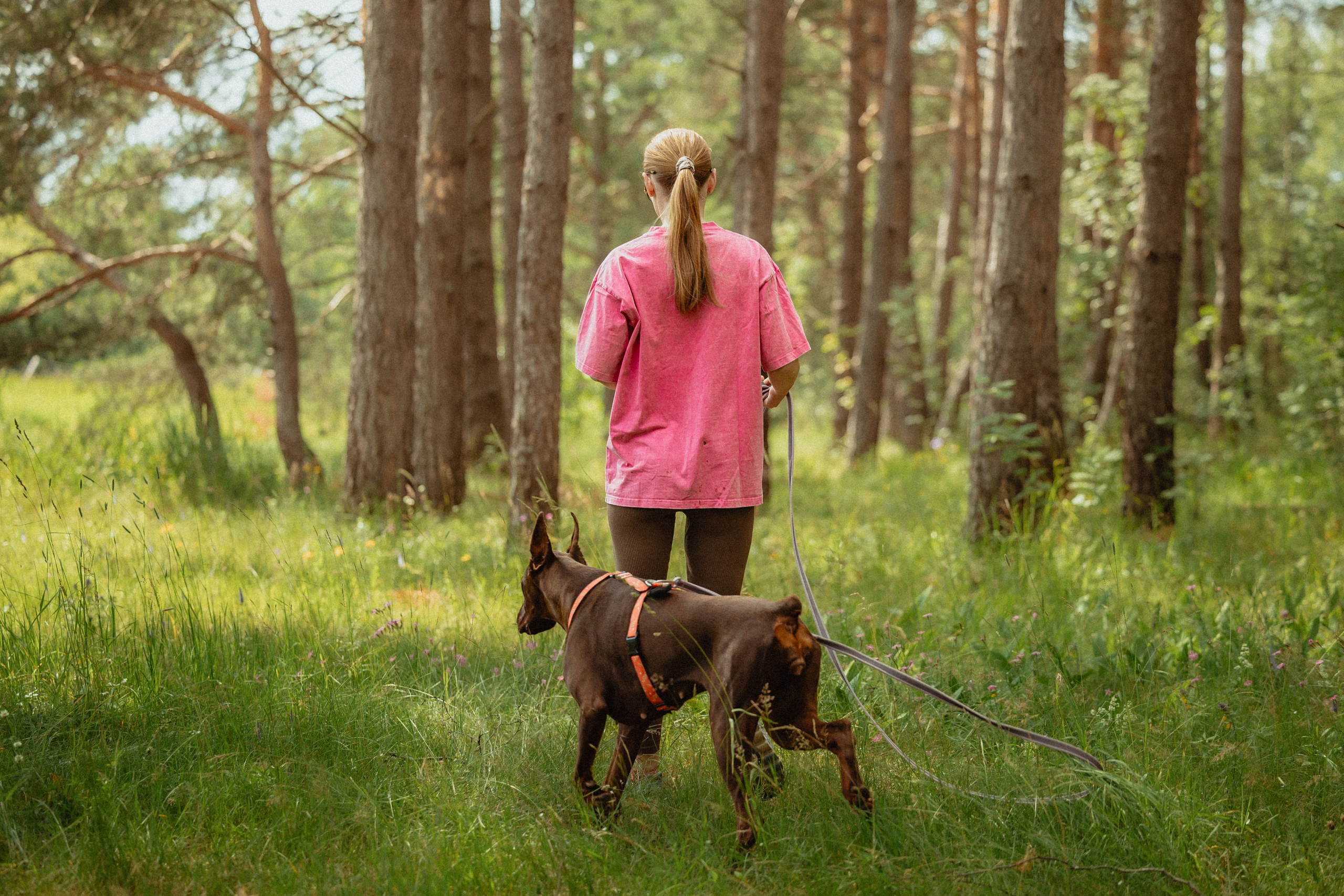 Выездной дог-тренинг от школы «Шерсть имею»