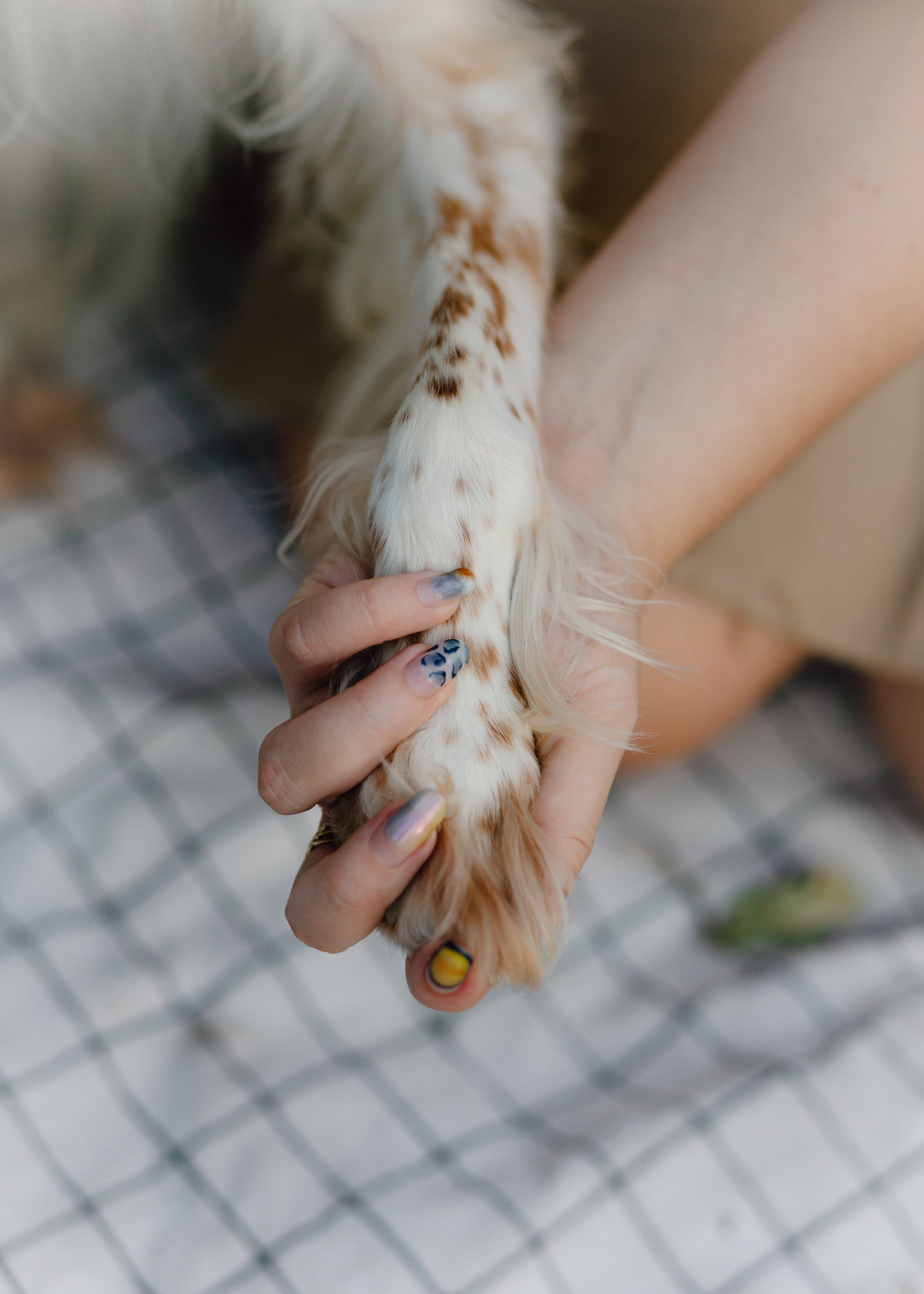 Pauline & Her Beloved Mañana. Barbara Isaeva