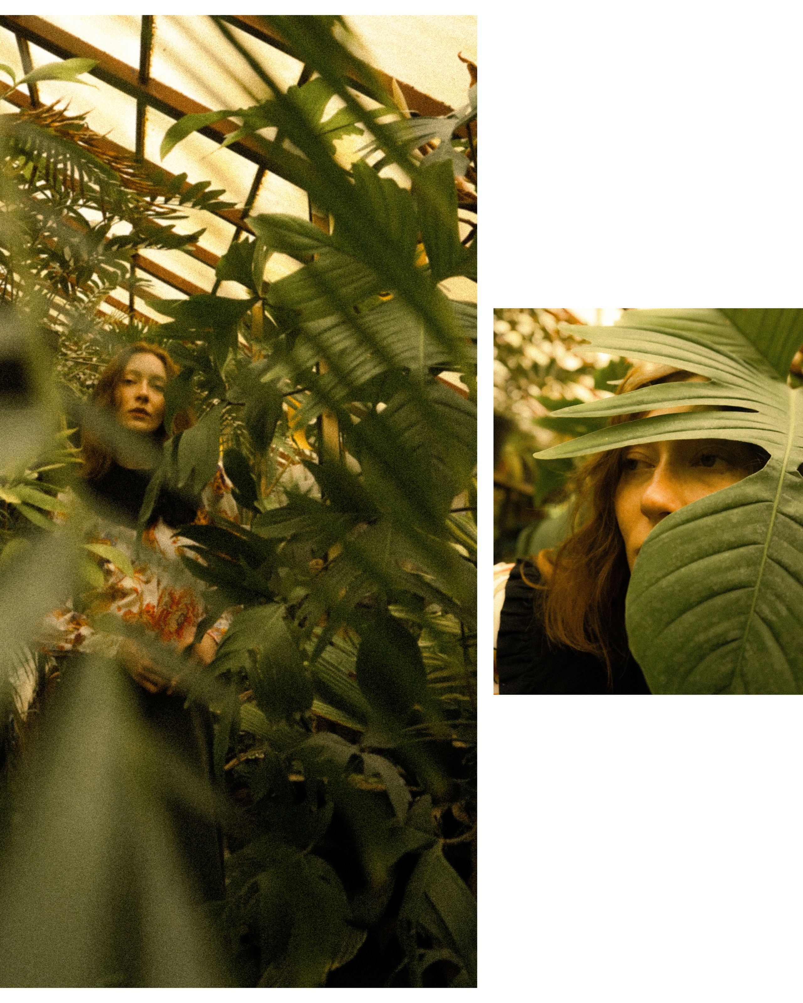 BOTANICAL GARDEN'24. Фотограф Нижний Новгород