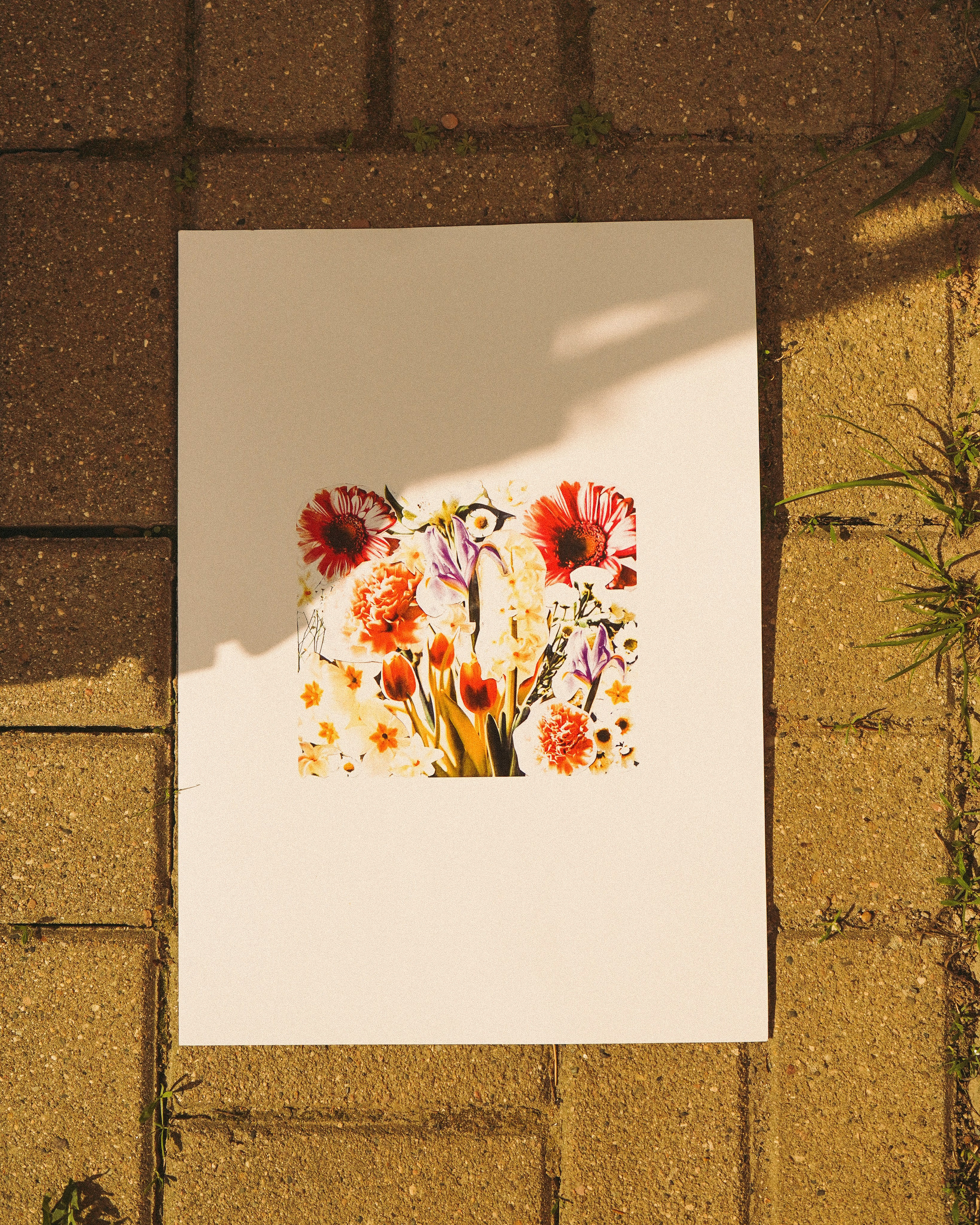 FLOWERS. Фотограф Нижний Новгород