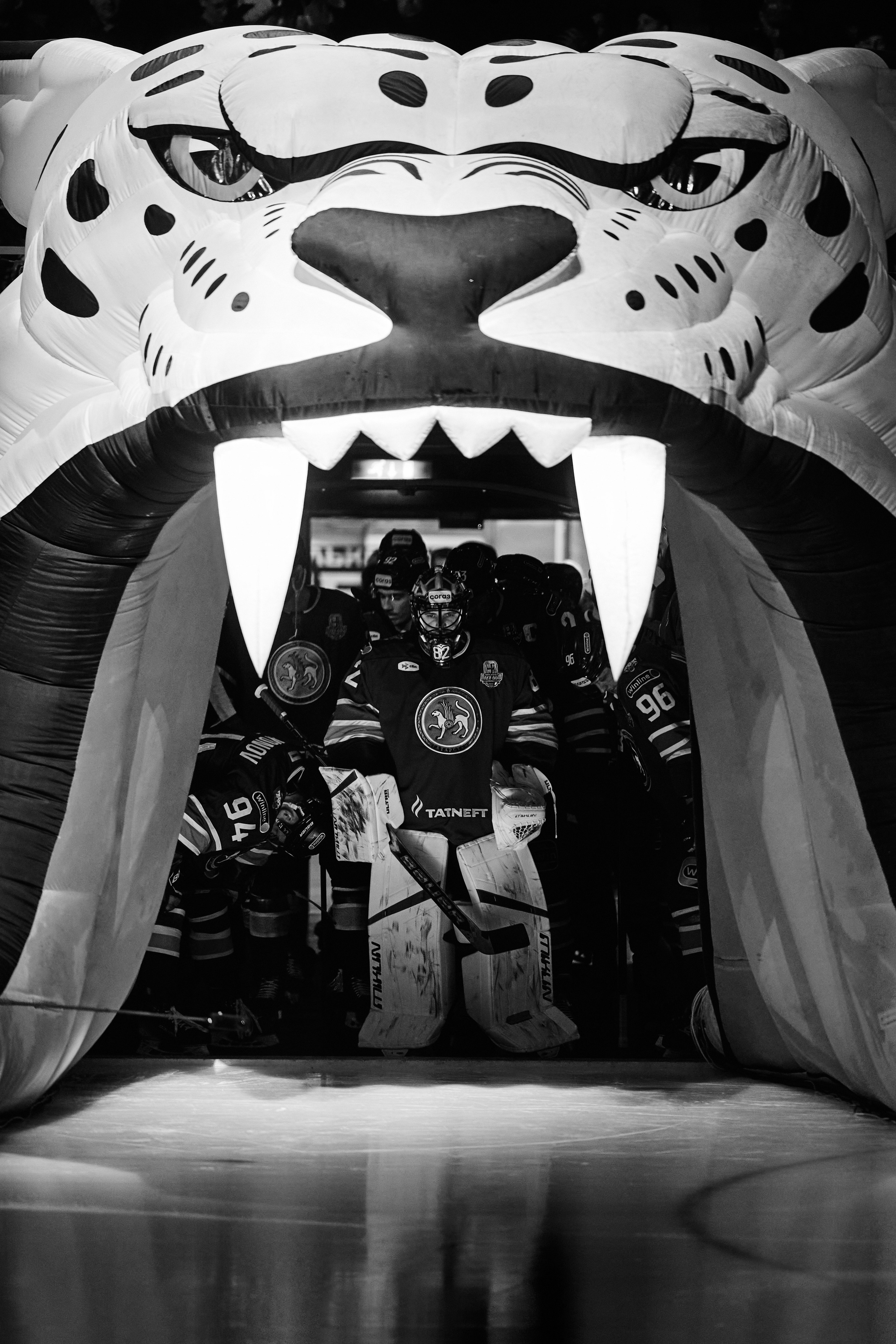 ХК Ак Барс — ХК Автомобилист. Спортивный репортажный фотограф Казань Нафис Сиразетдинов