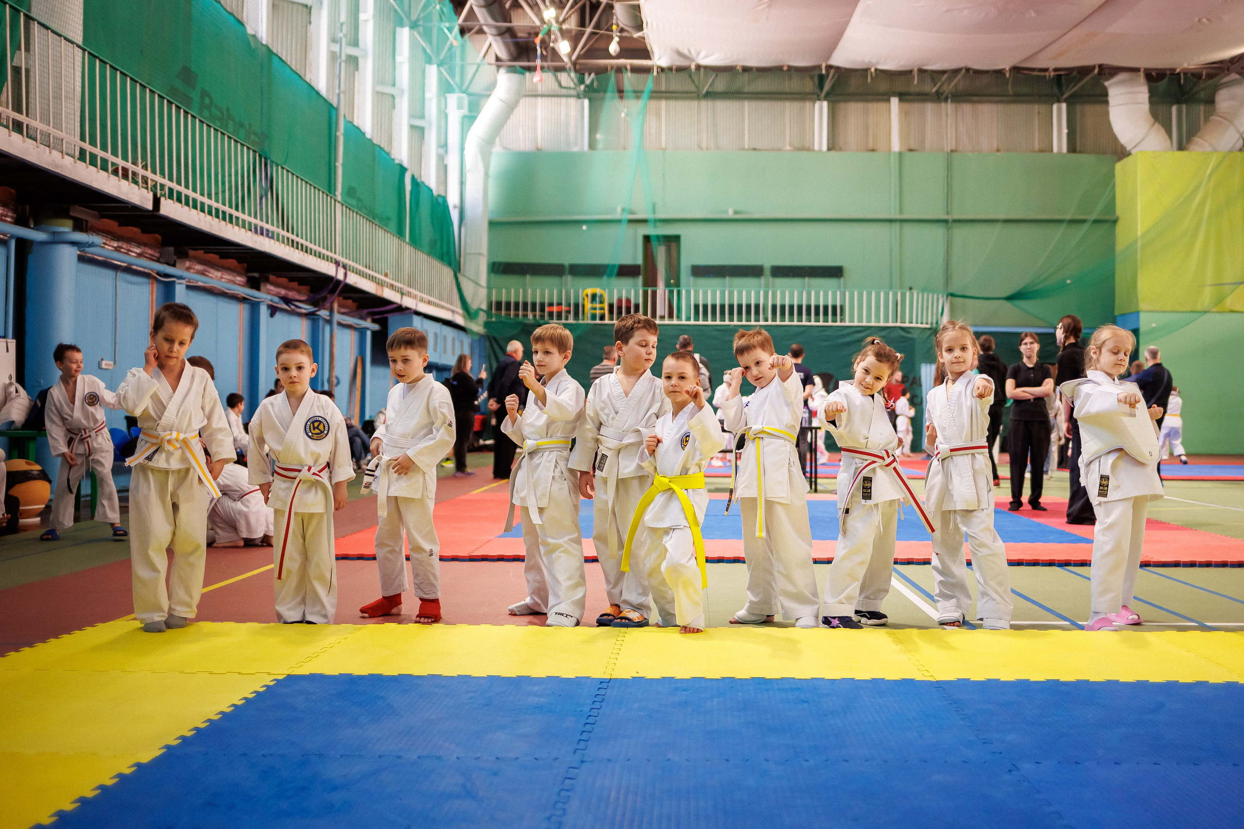 Соревнования (карате). Фотограф в Москве Базанова Дарья