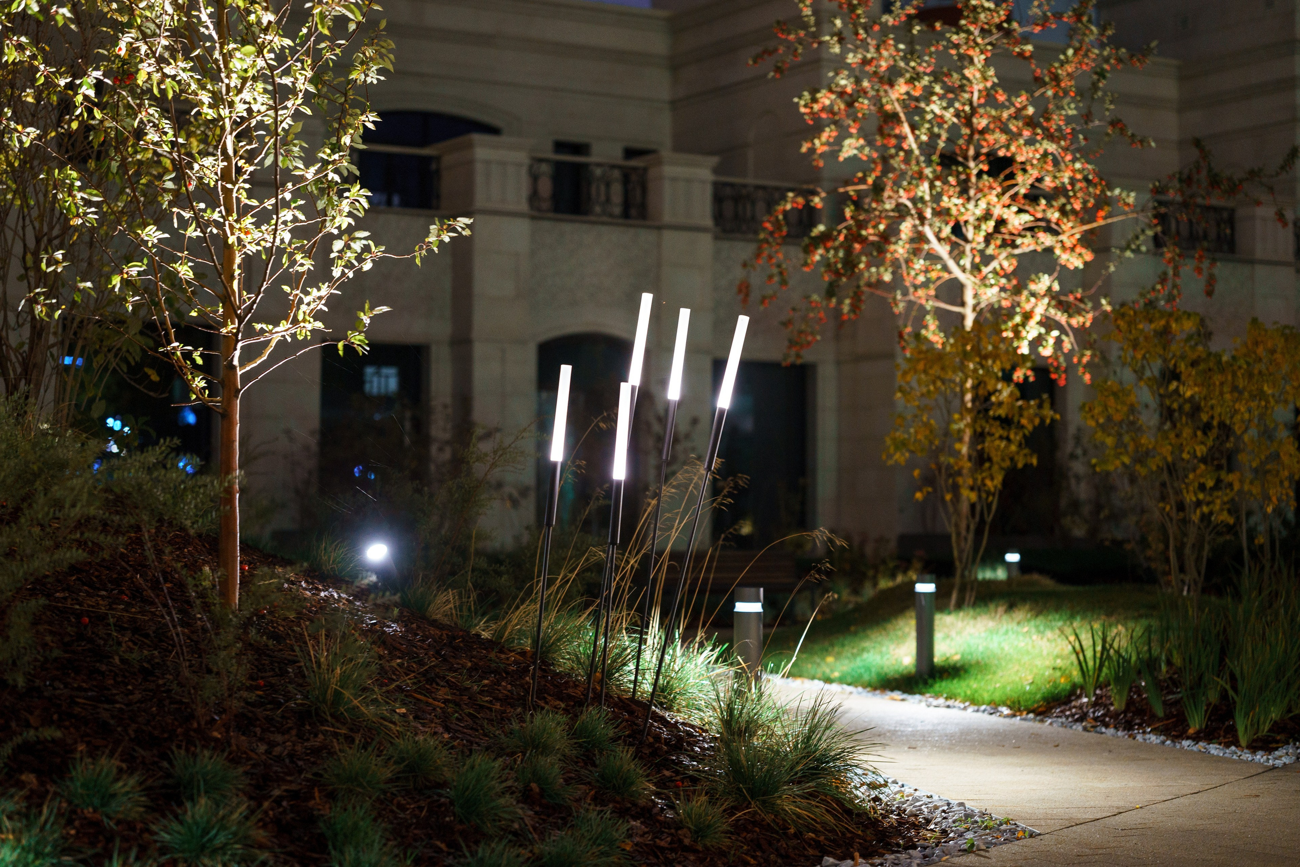 Курс. Асхат Бардынов