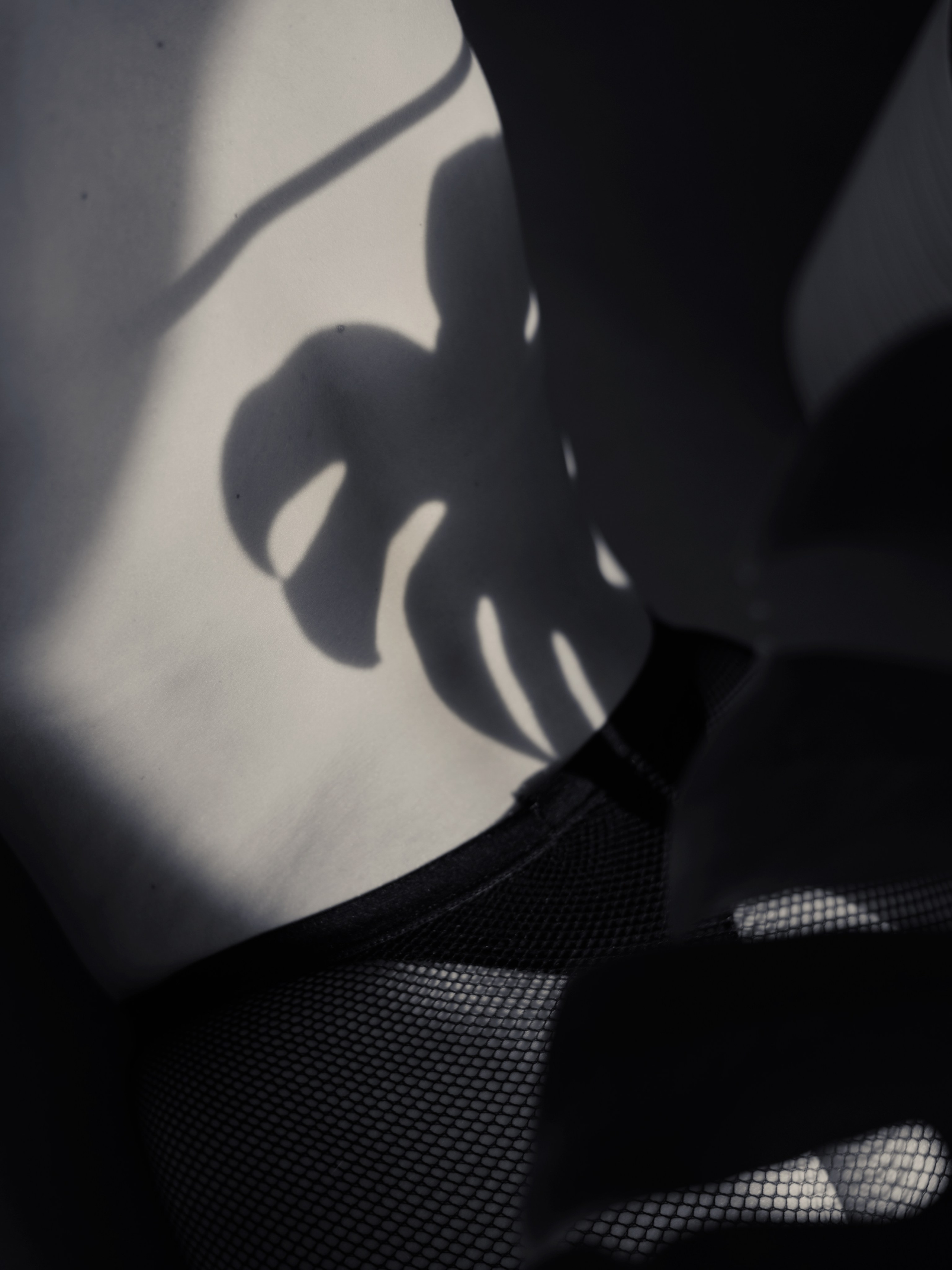 Olya. Главная