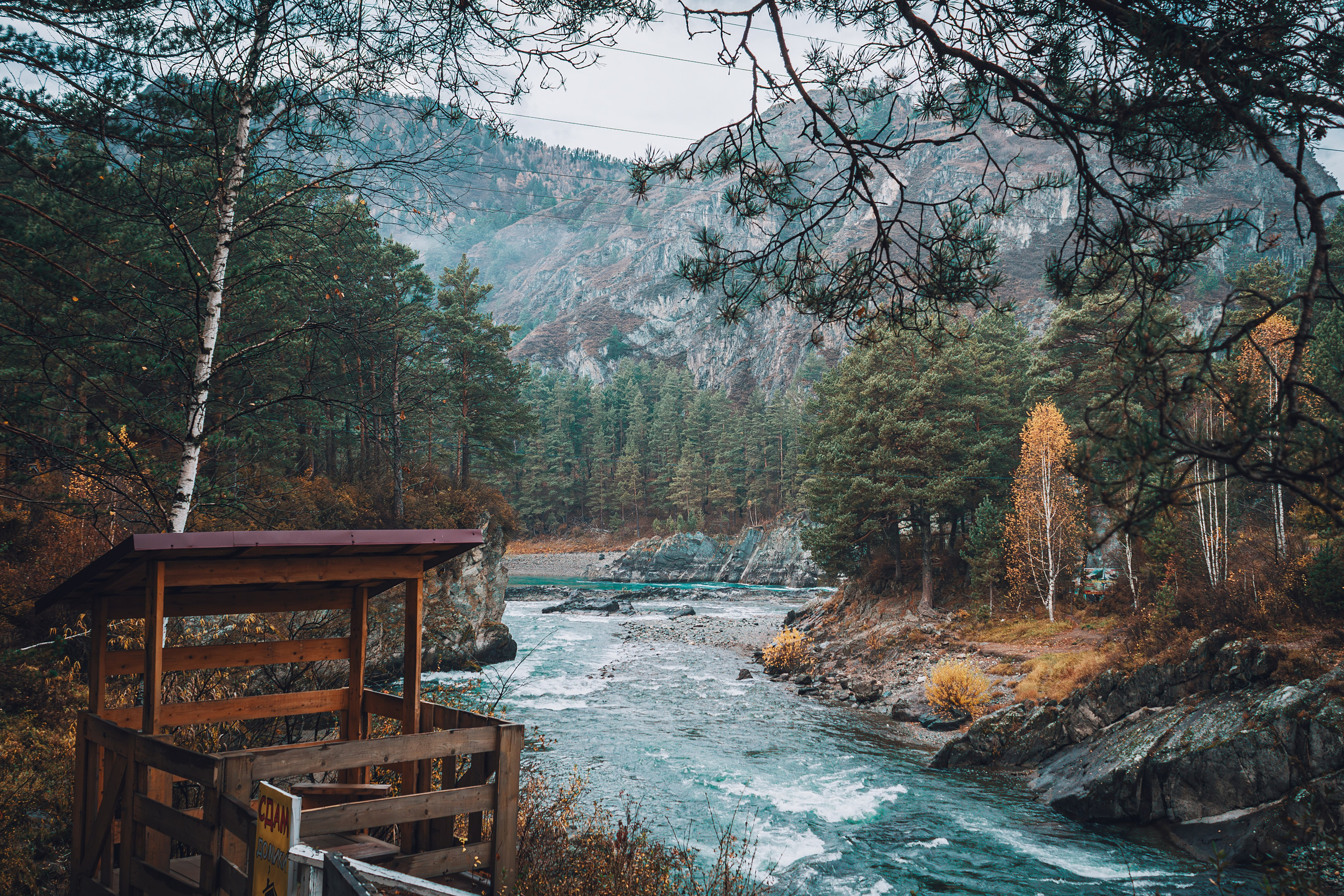Фотографии Горного Алтая. Фотограф в Новокузнецке