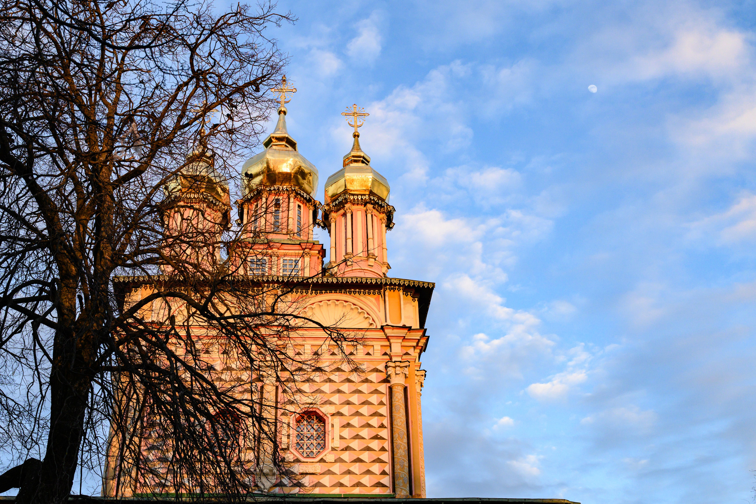 Троице-Сергиева Лавра 9.03.2025