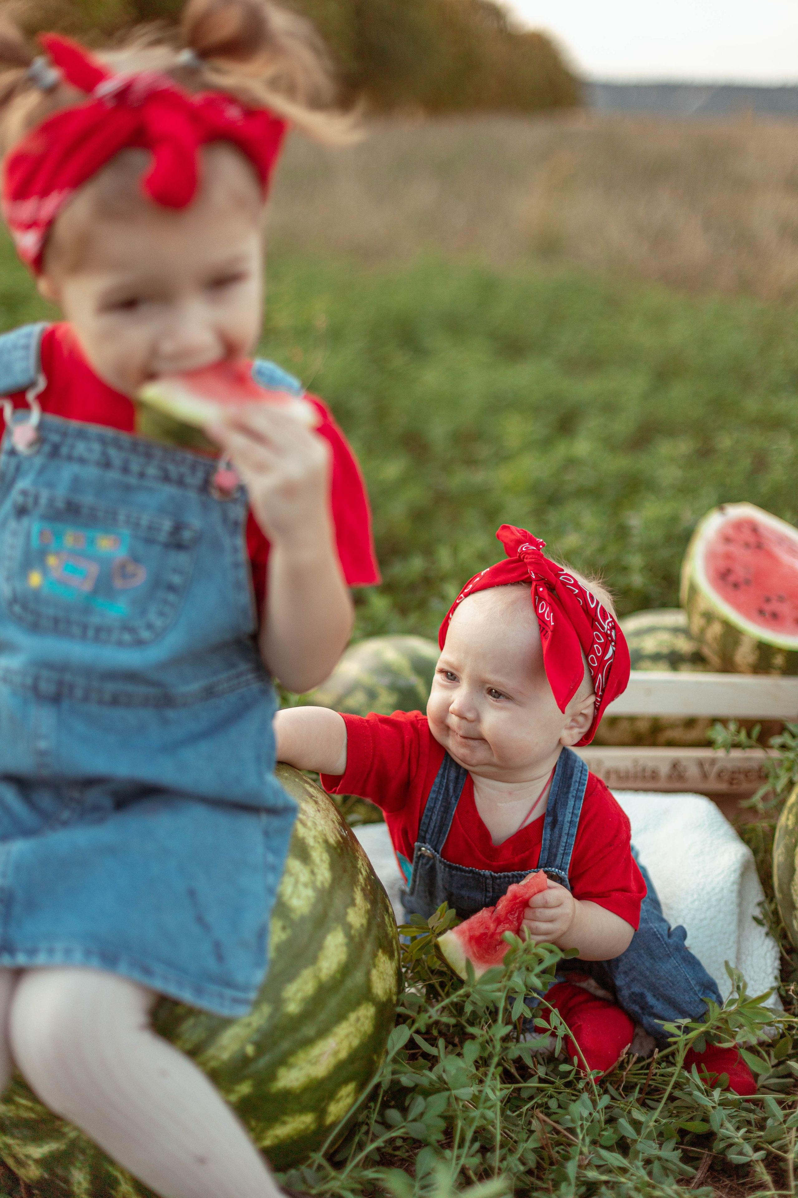 АРБУЗЫ. Семейный и детский фотограф в Крыму Екатерина Швец