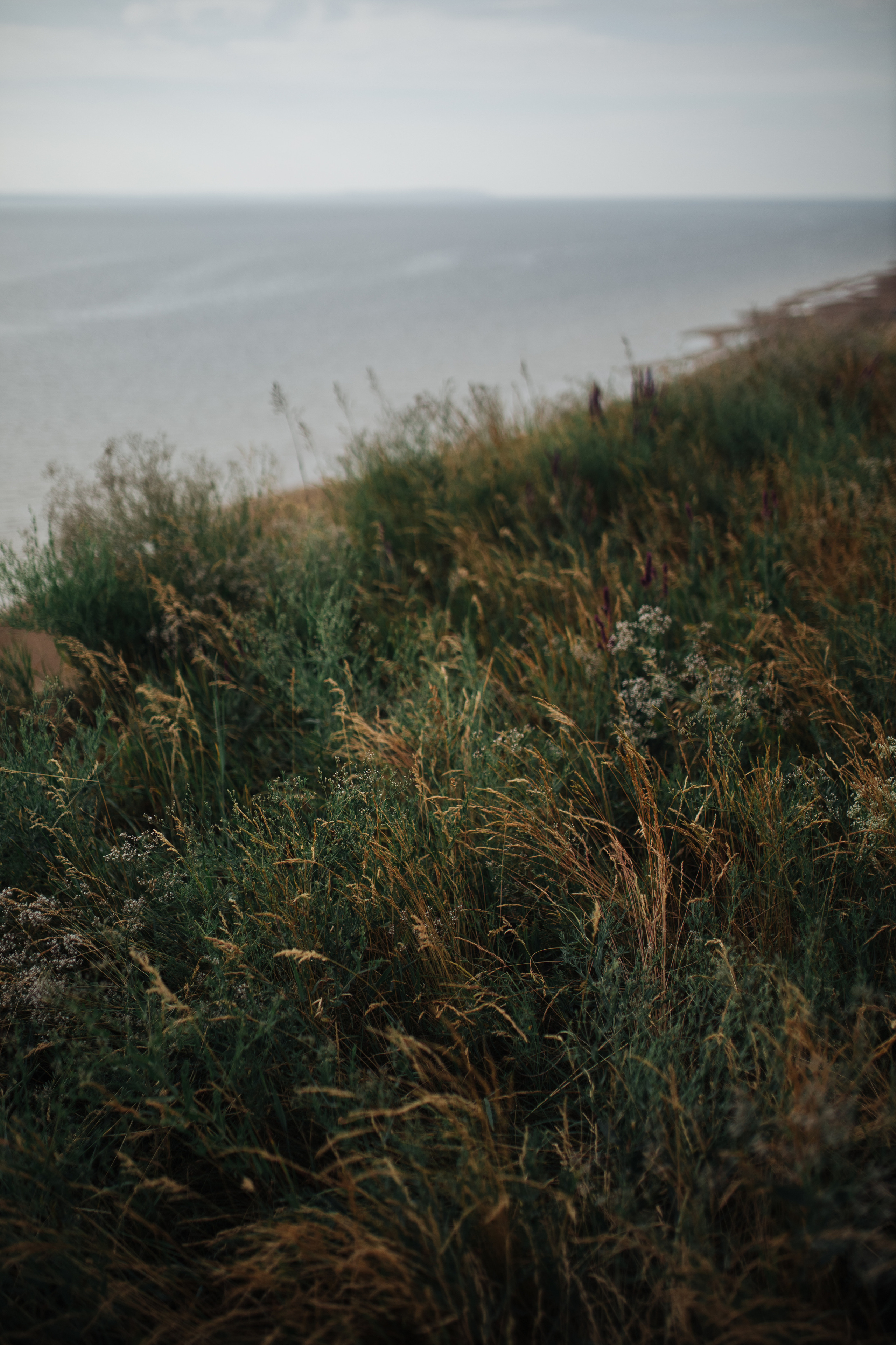 Vladimir&Christina. Антонина Талах фотограф в Москве