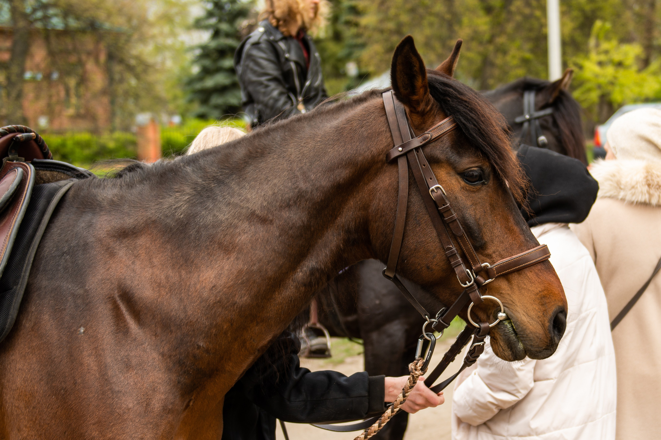 Том Сойер Фест ул. Кардовского 25 (репортаж). Портретная и репортажная съёмка