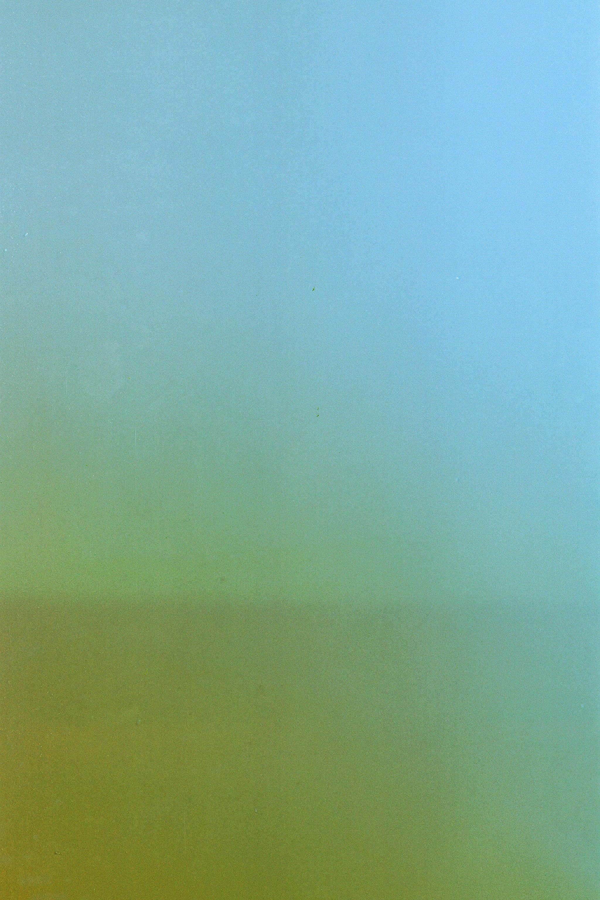 FIRST|LAST. Контент-креатор Паша Норицын