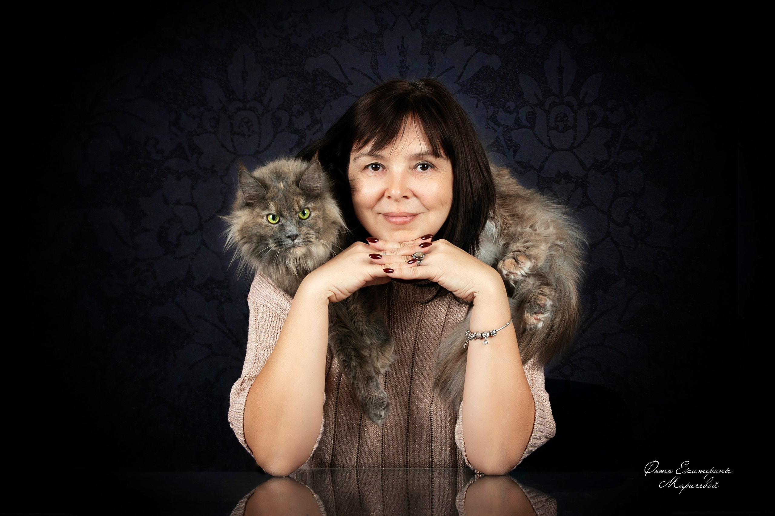 Стендовая съёмка на выставках кошек. Фотограф-анималист в Омске Екатерина Маричева