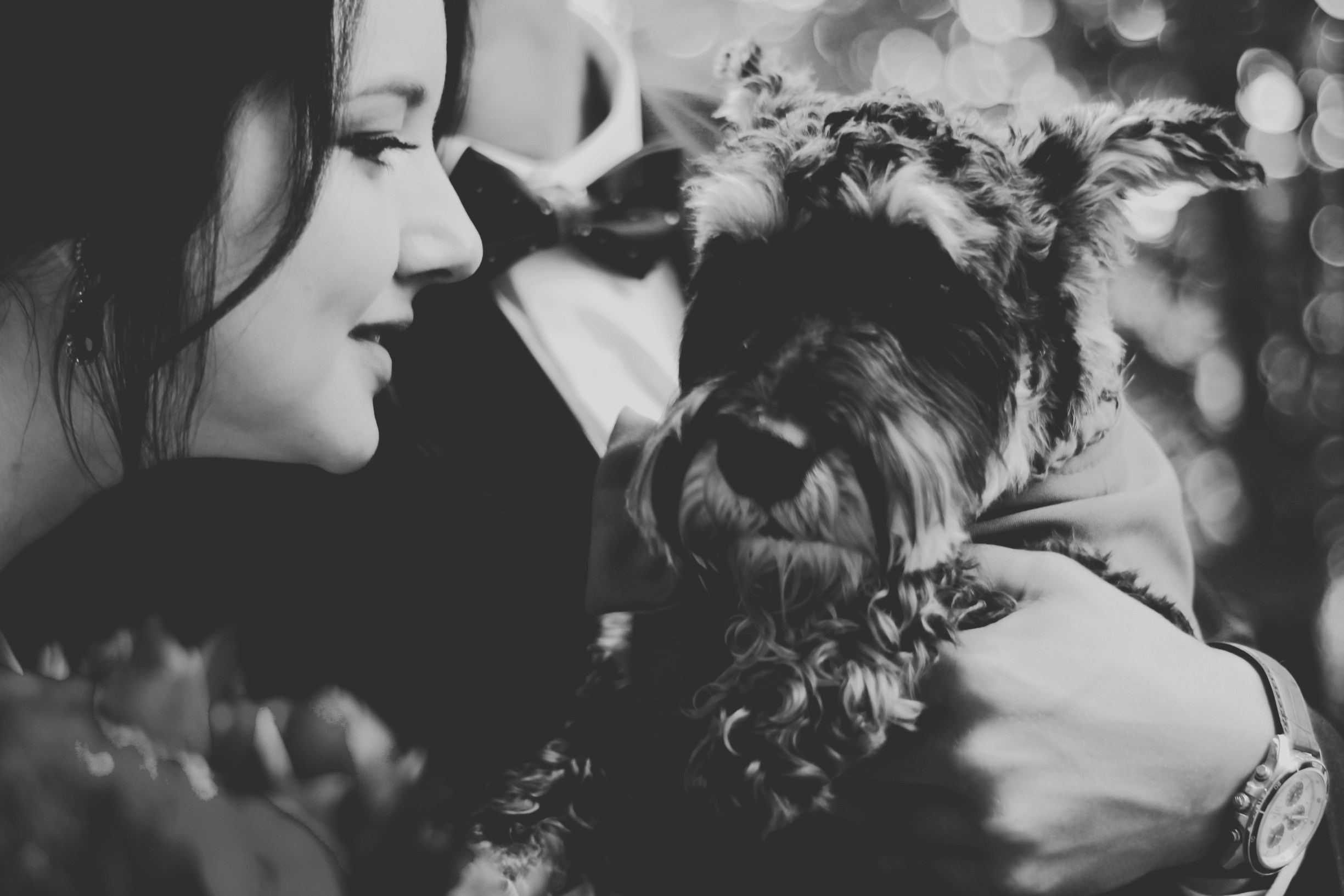 Что-то про любовь. Фотограф Евгения Рай