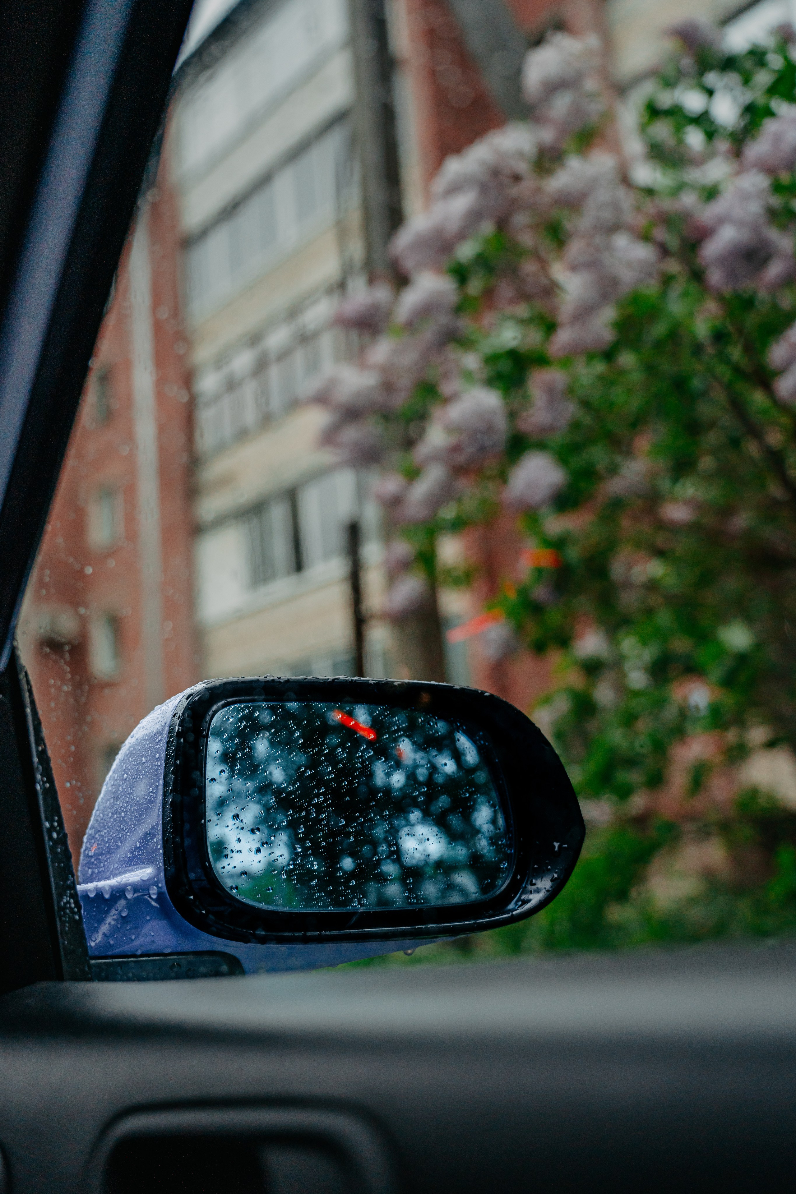 Honda Accord. Фотограф, видеограф и пилот дрона на Байкале