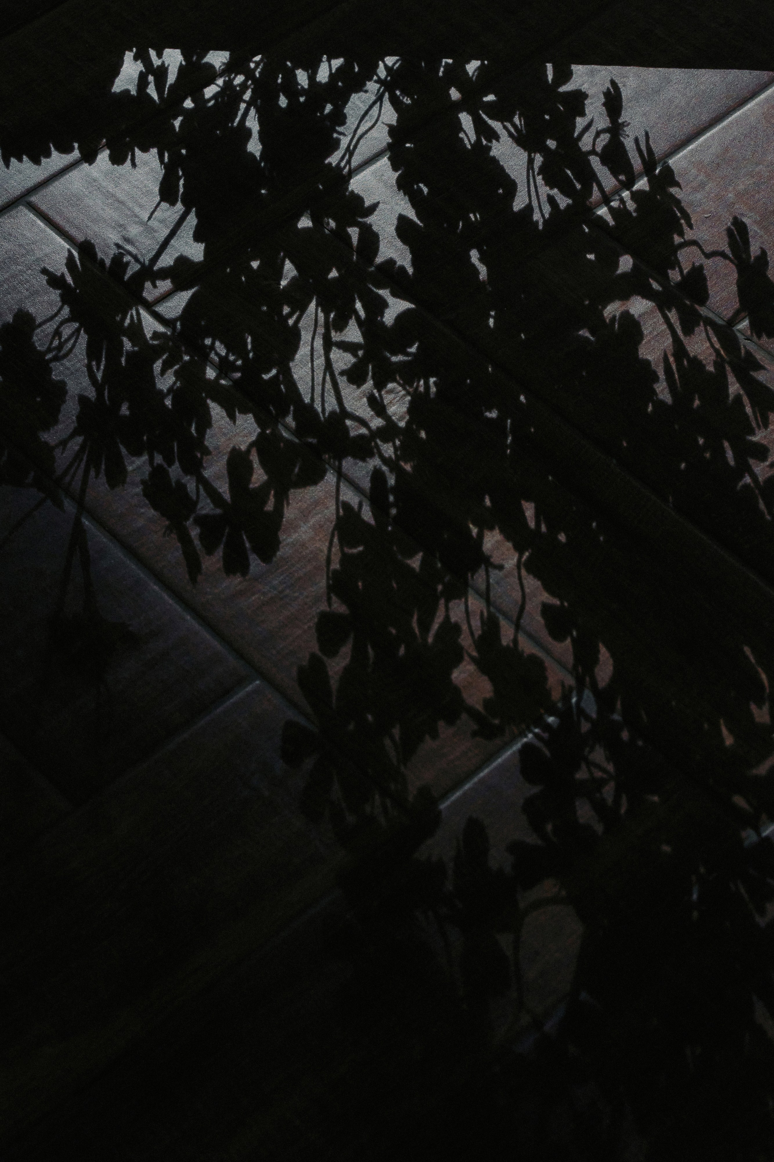 Your love is all I need in my world. Свадебный фотограф в Ростовe-на-Дону Анастасия Прутова