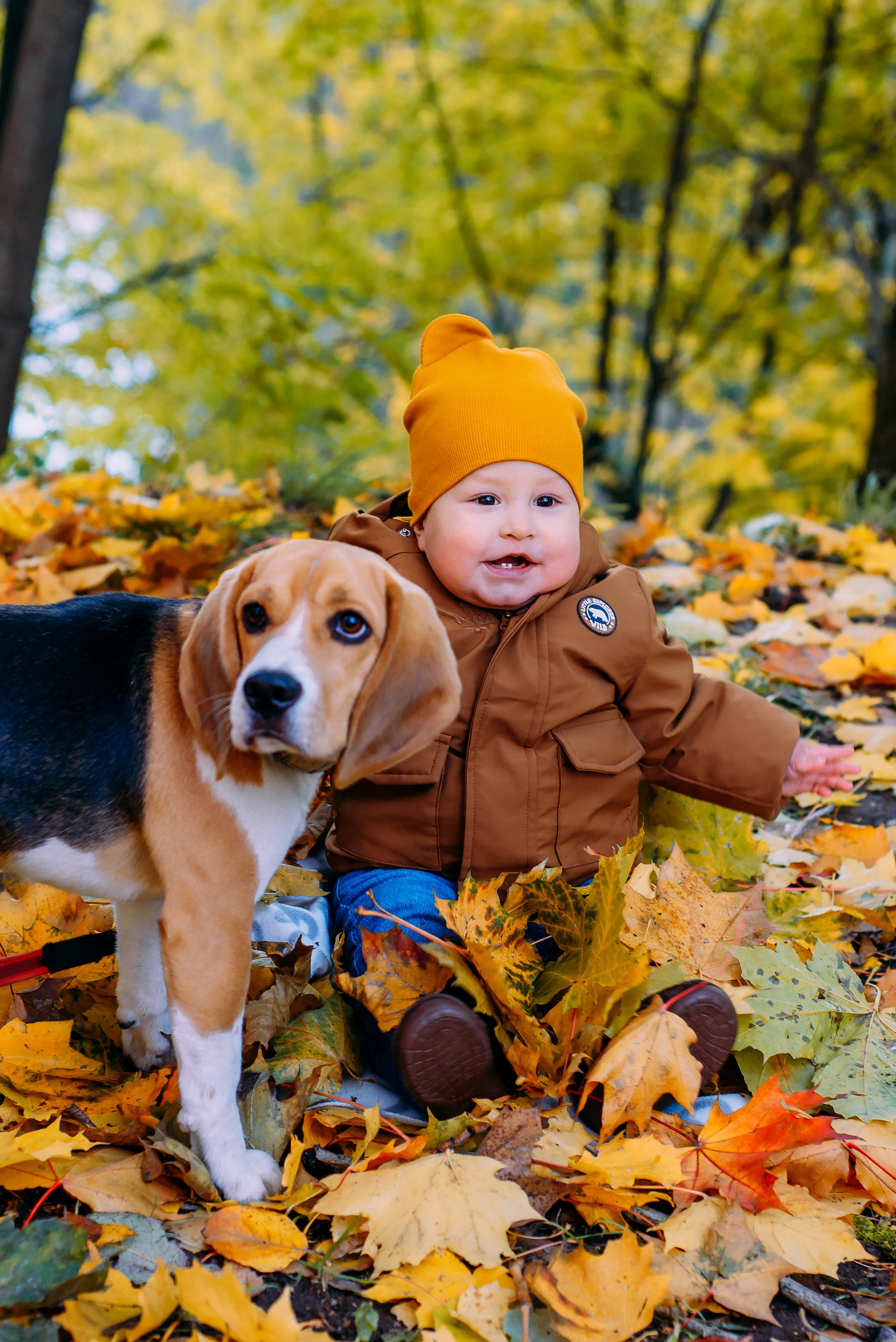 Ольга с семьей. Осенняя серия. Детский и семейный фотограф Эльмира Веселова