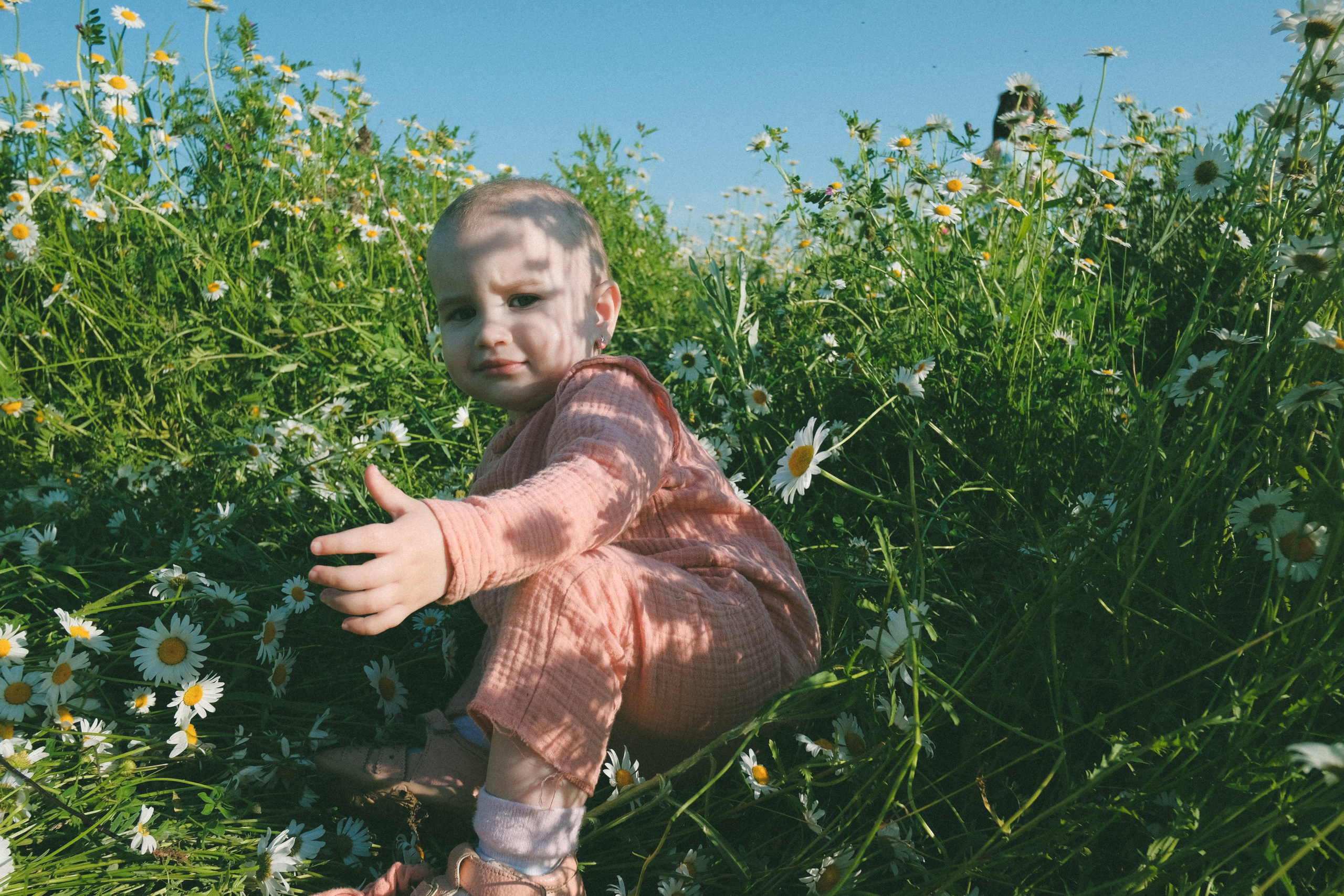 Ждановы в ромашках. Женский и семейный фотограф в Краснодаре и крае Таня Мустафина