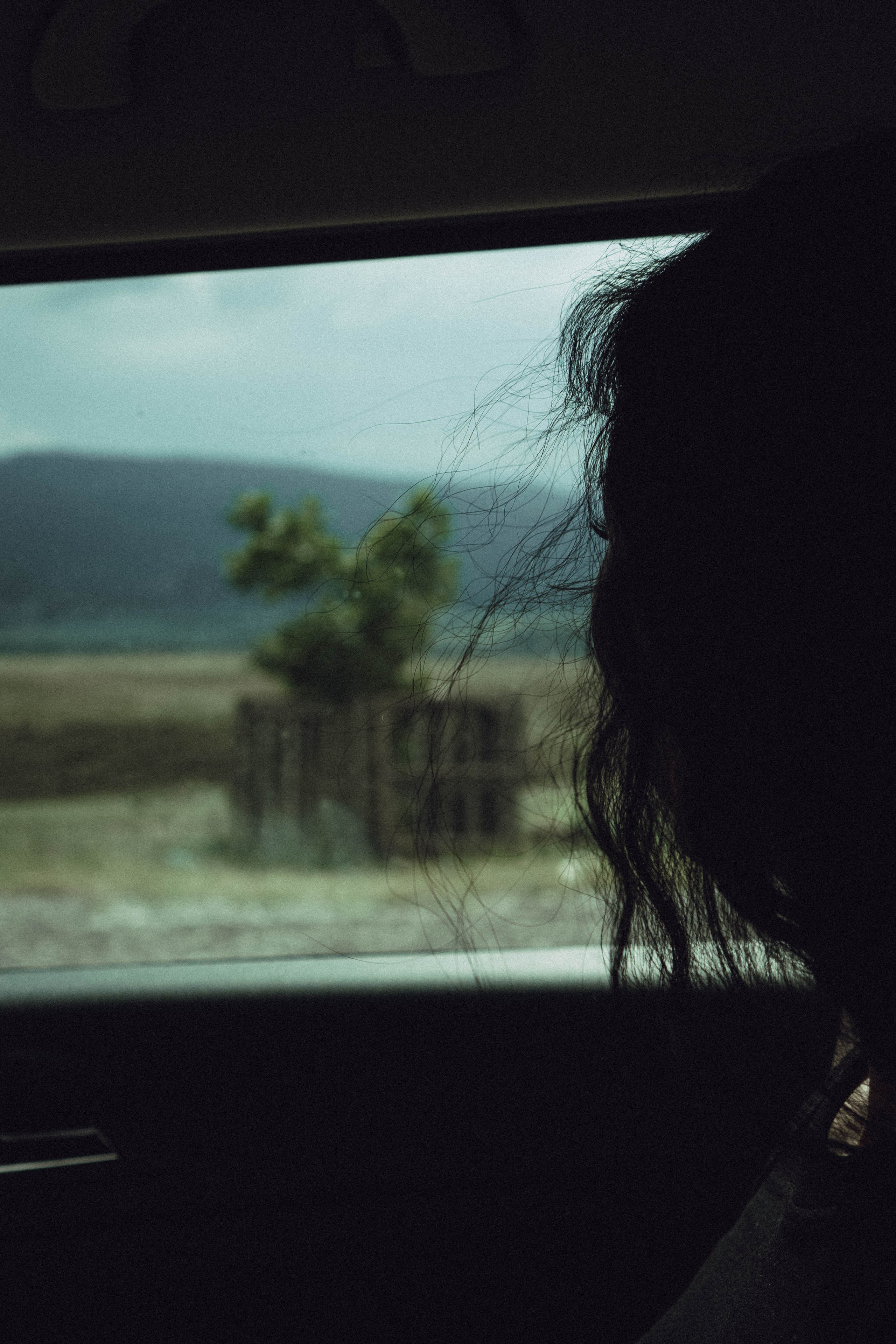 Горы. Профессиональный фотограф, Санкт-Петербург — Виктория Богомолова