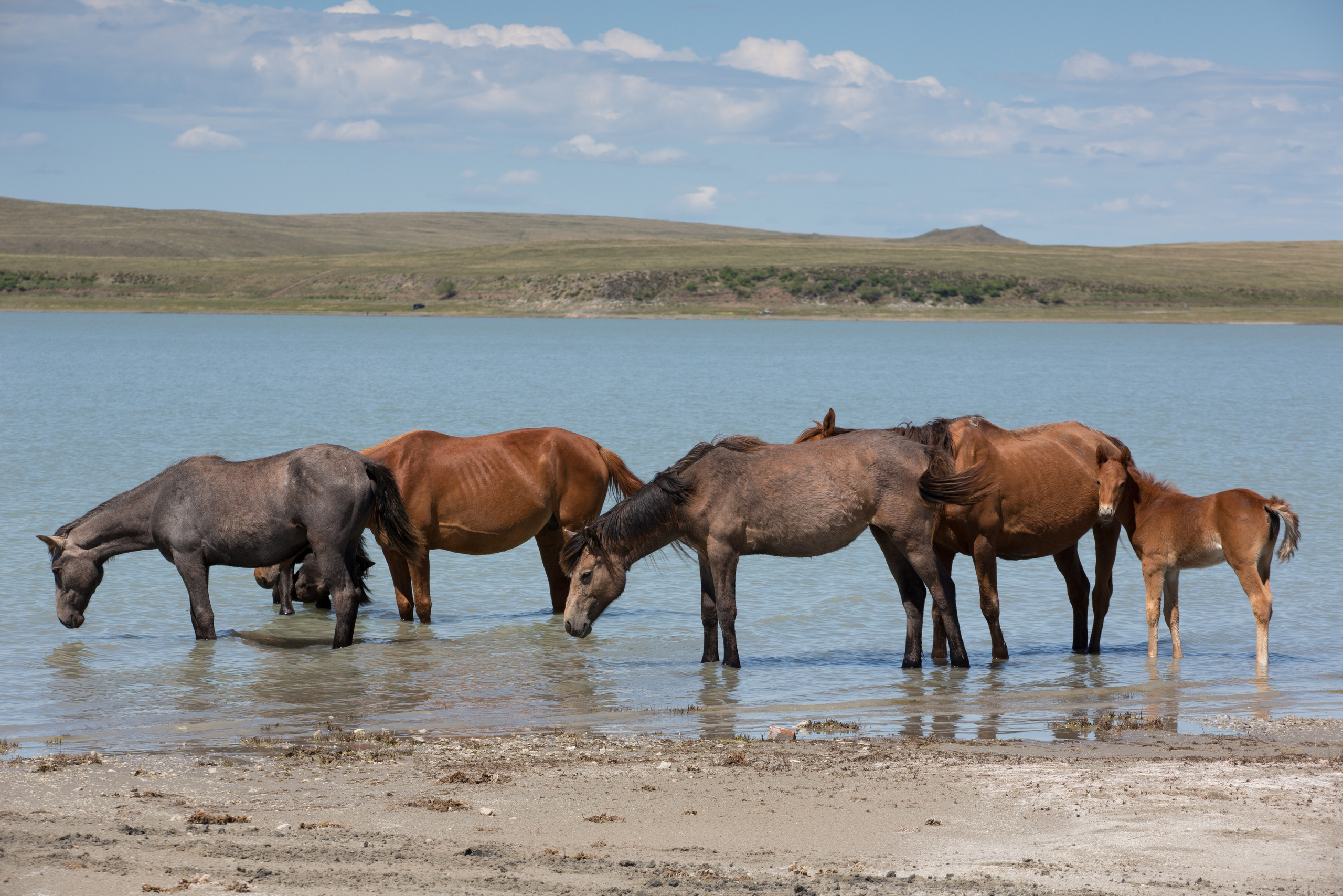 Фото Природы Забайкалья. Студия Максима Белослюдцева