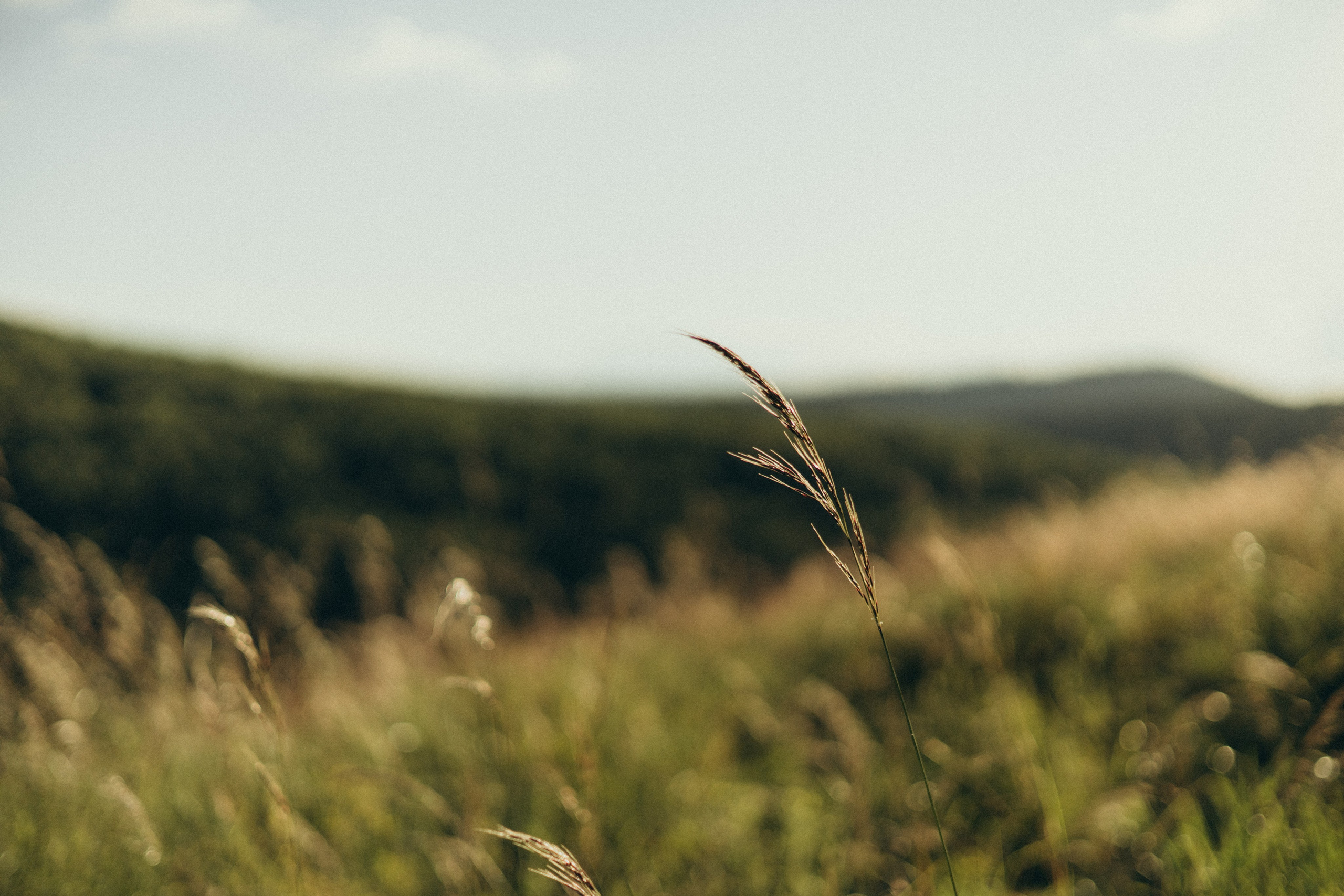 Когда столько жизни в одном дне…. Фотограф в г. Чита