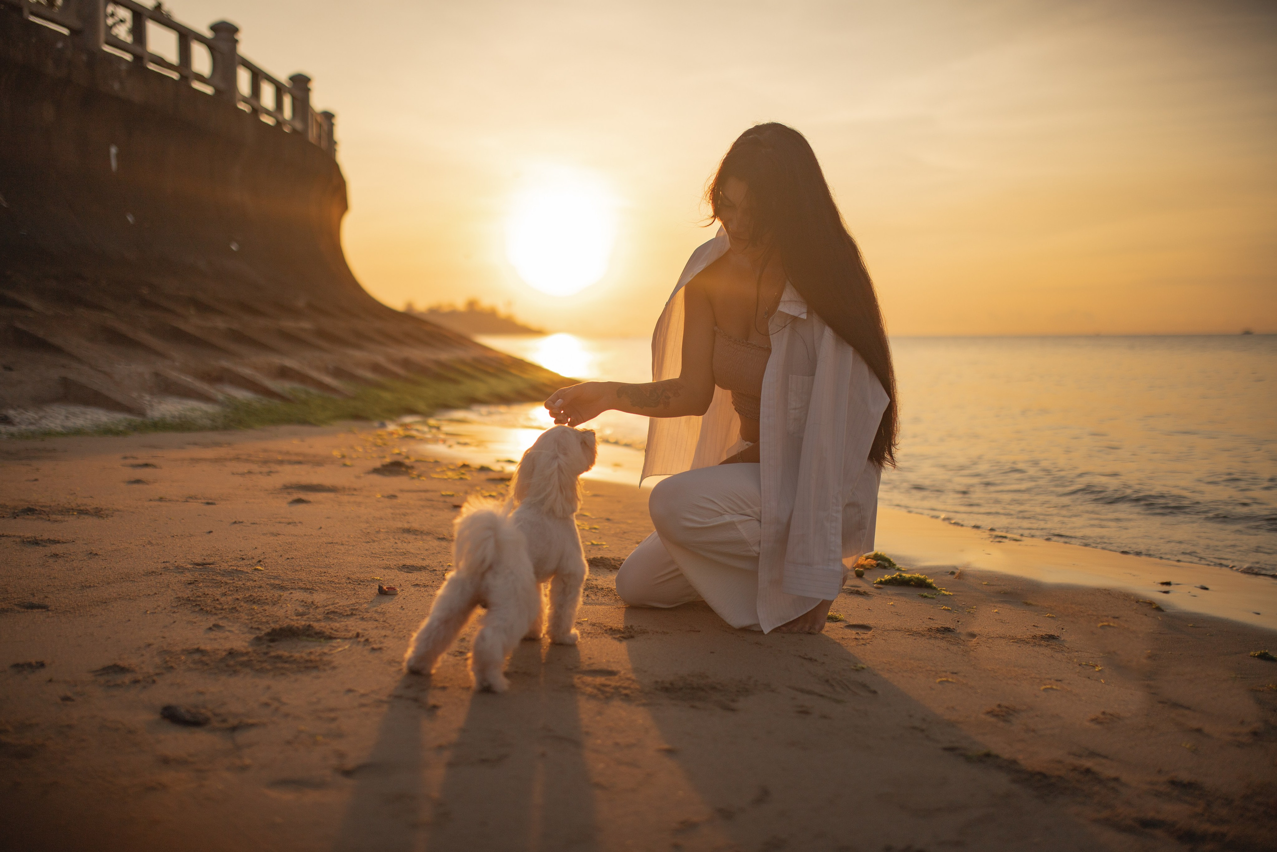 Анастасия и ее Пират.Нячанг. Главная