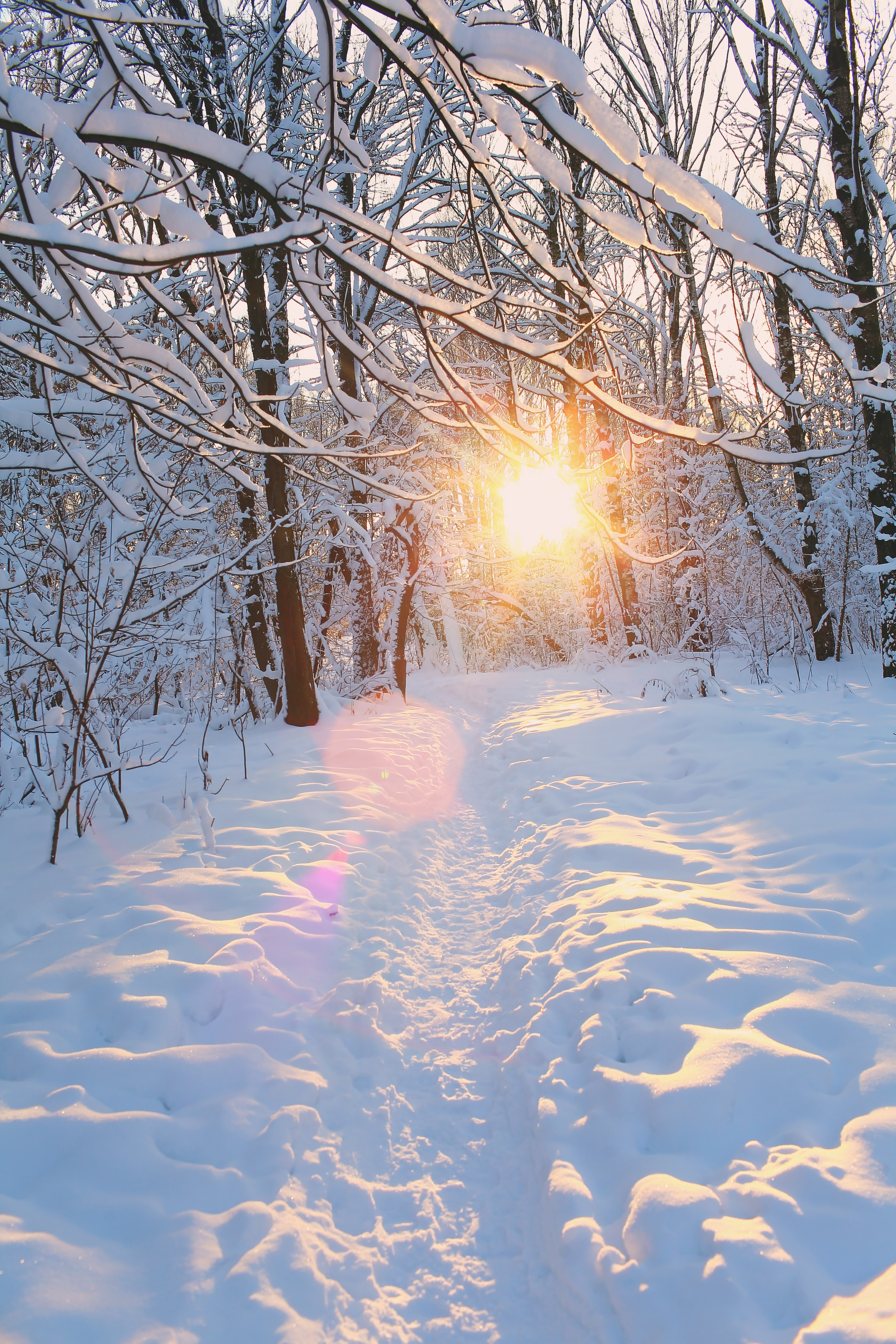 Средняя полоса. Свадебный и репортажный фотограф в Ярославле и Санкт-Петербурге Роман Микрюков