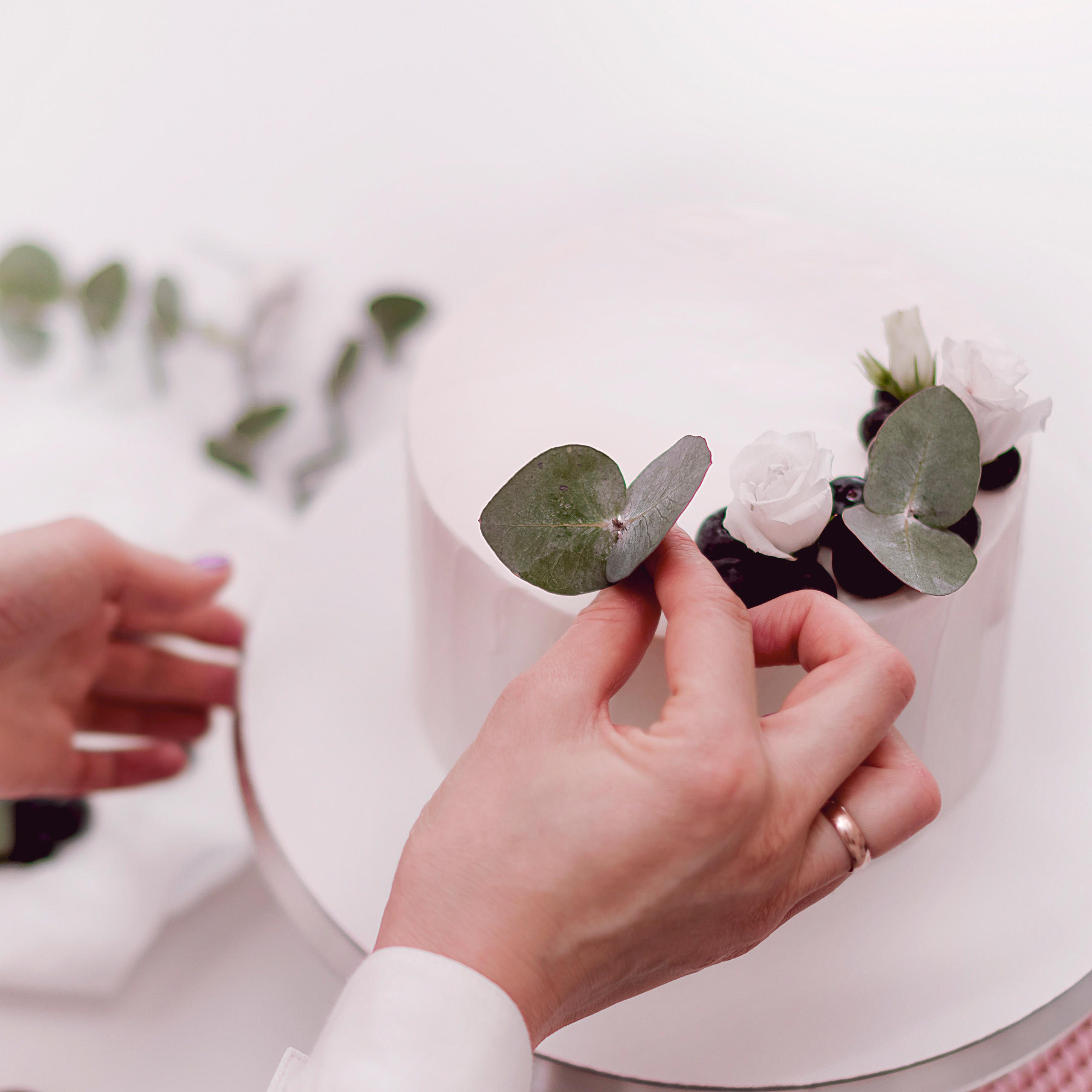 Контент. Фотограф Светлана Воронцова