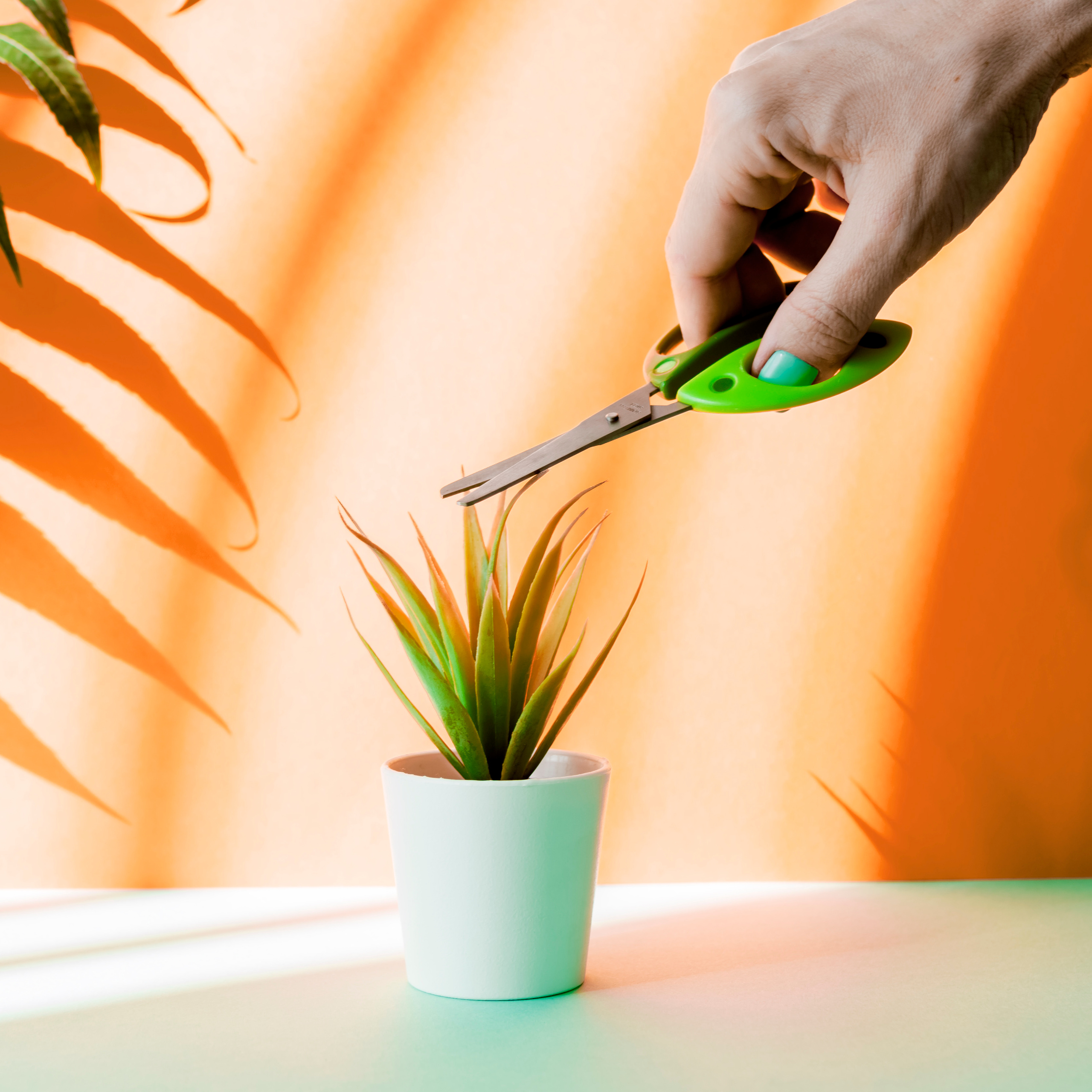 Контент. Фотограф Светлана Воронцова