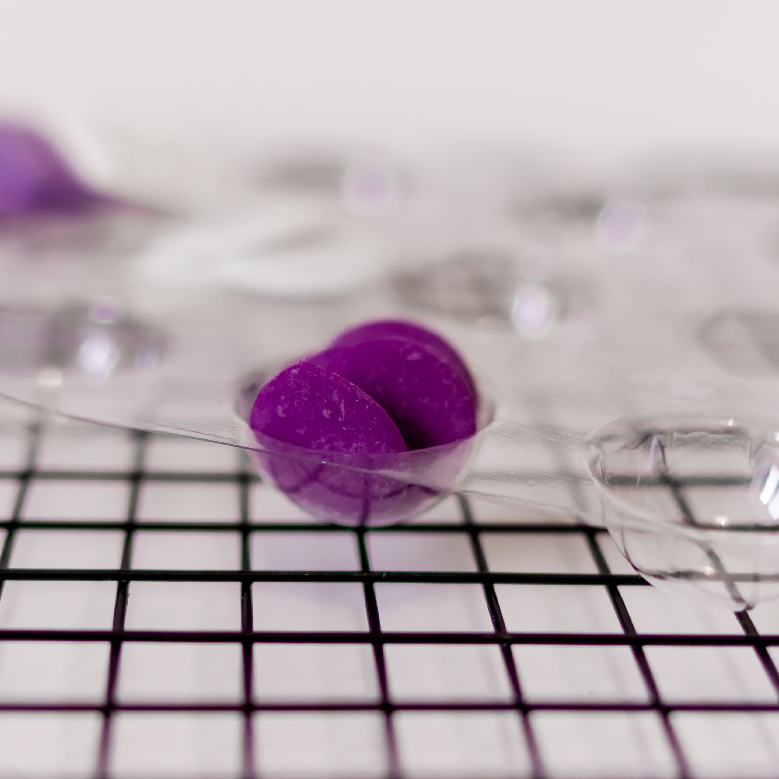 Контент. Фотограф Светлана Воронцова