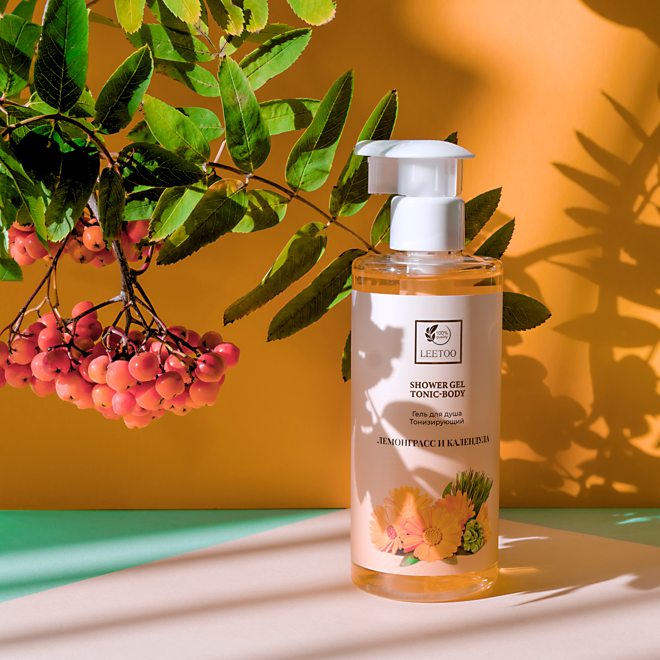 Контент. Фотограф Светлана Воронцова