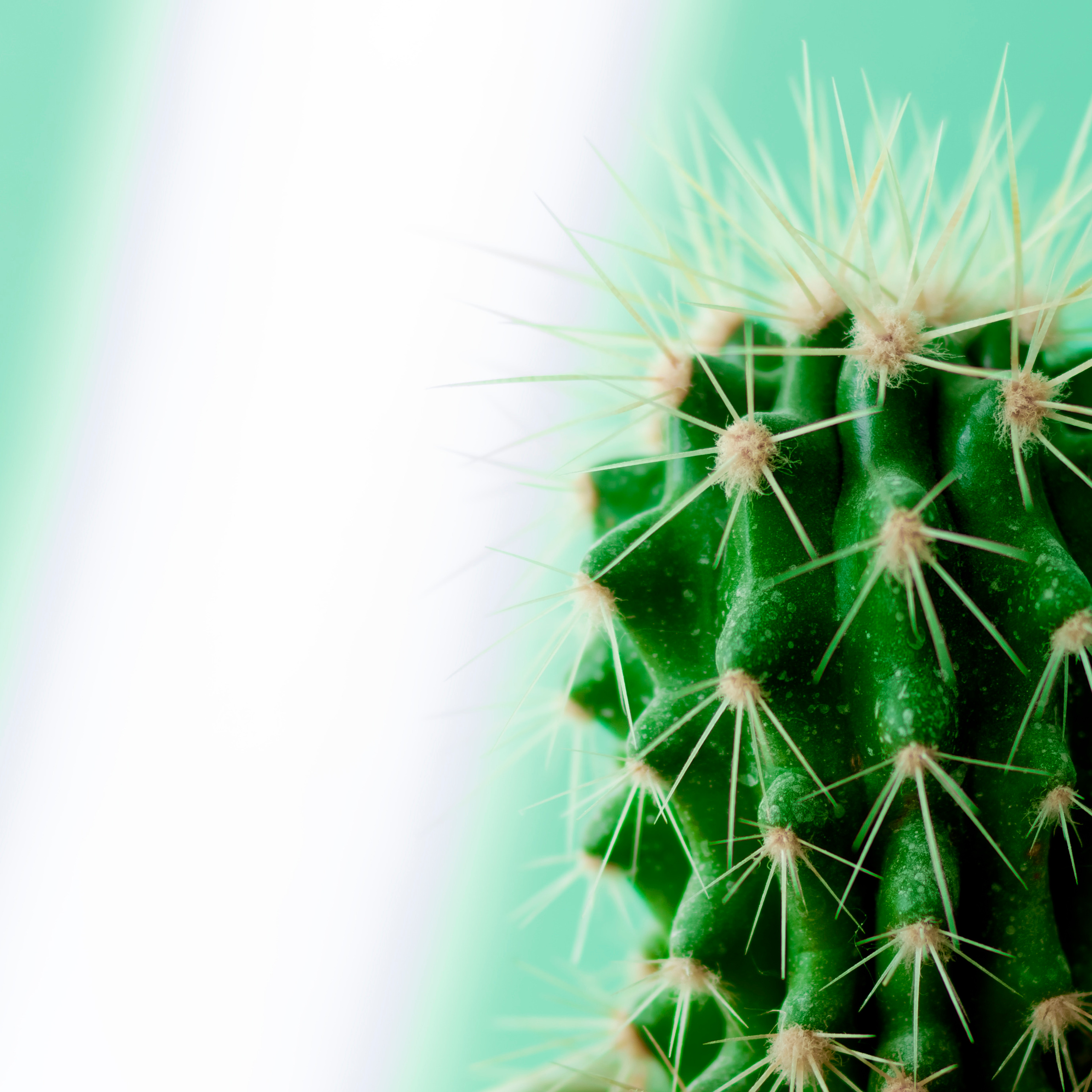 Контент. Фотограф Светлана Воронцова