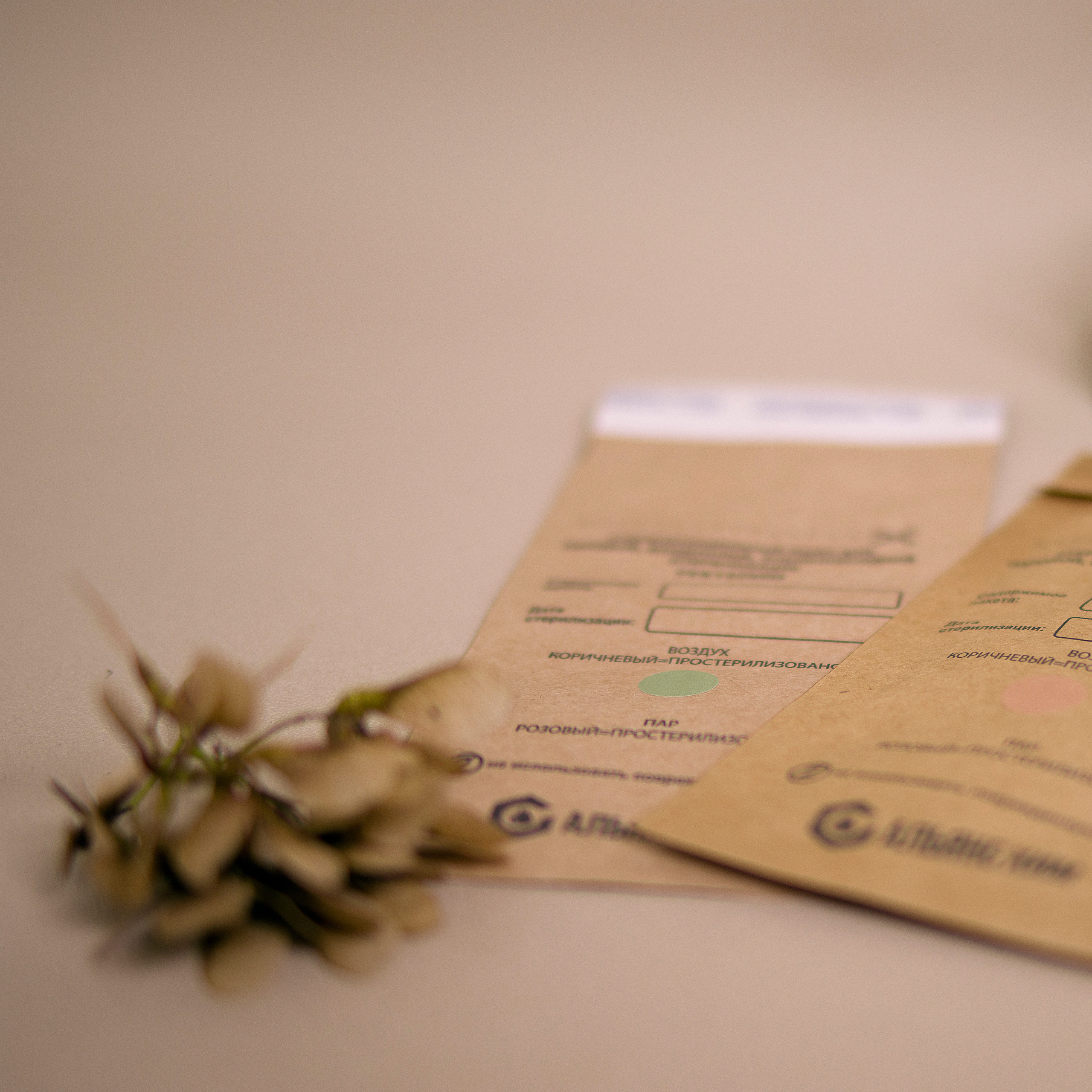 Контент. Фотограф Светлана Воронцова