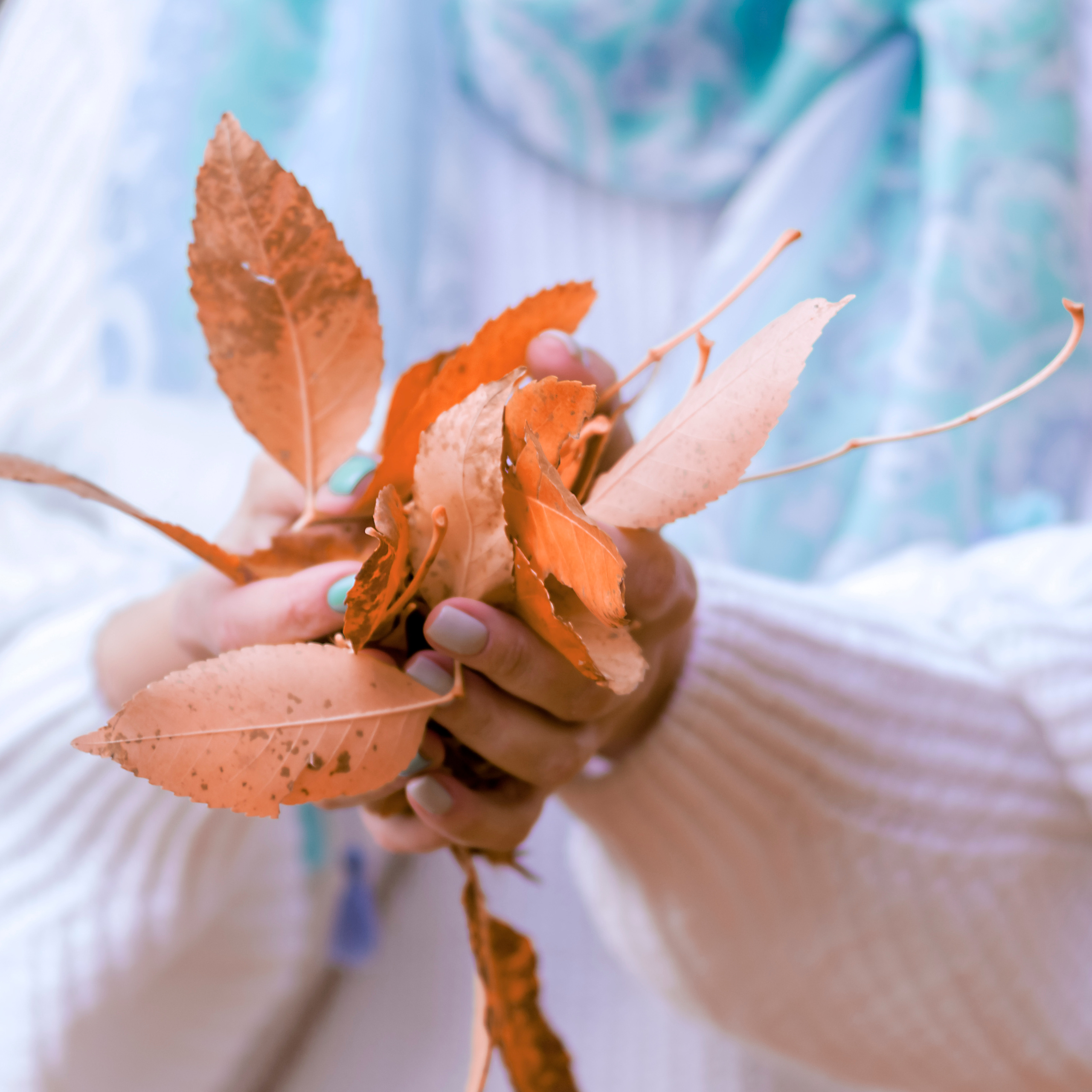 Контент. Фотограф Светлана Воронцова