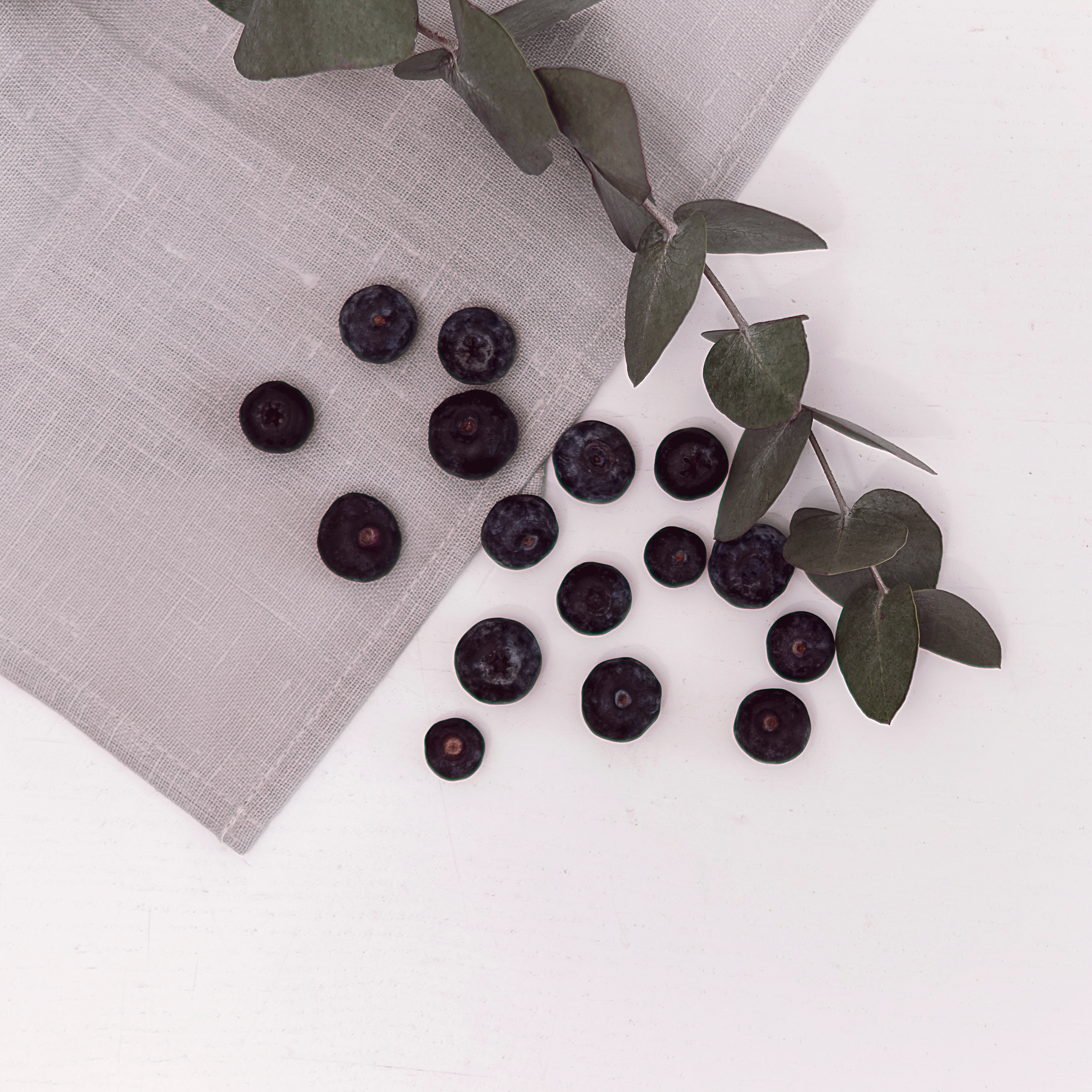 Контент. Фотограф Светлана Воронцова