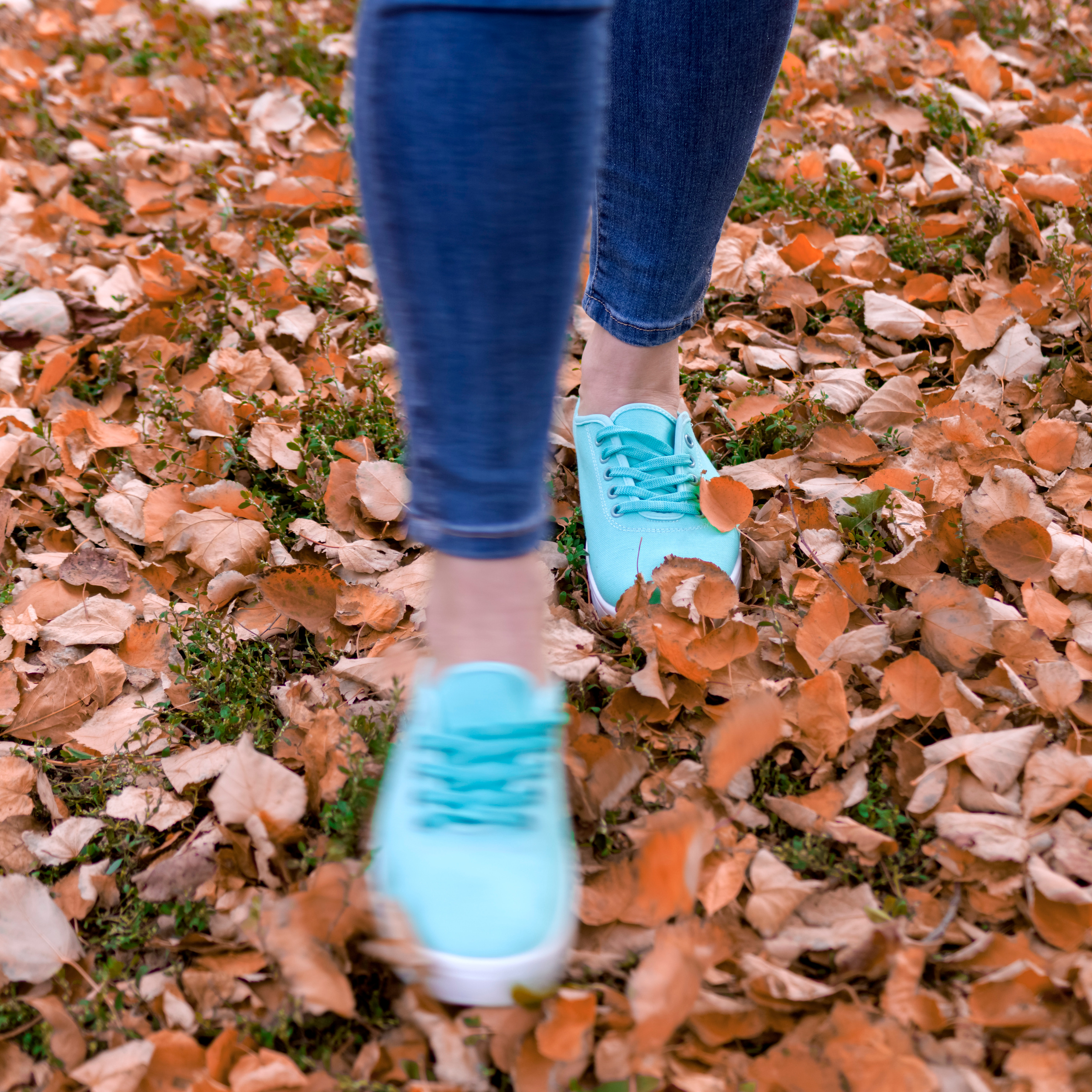 Контент. Фотограф Светлана Воронцова