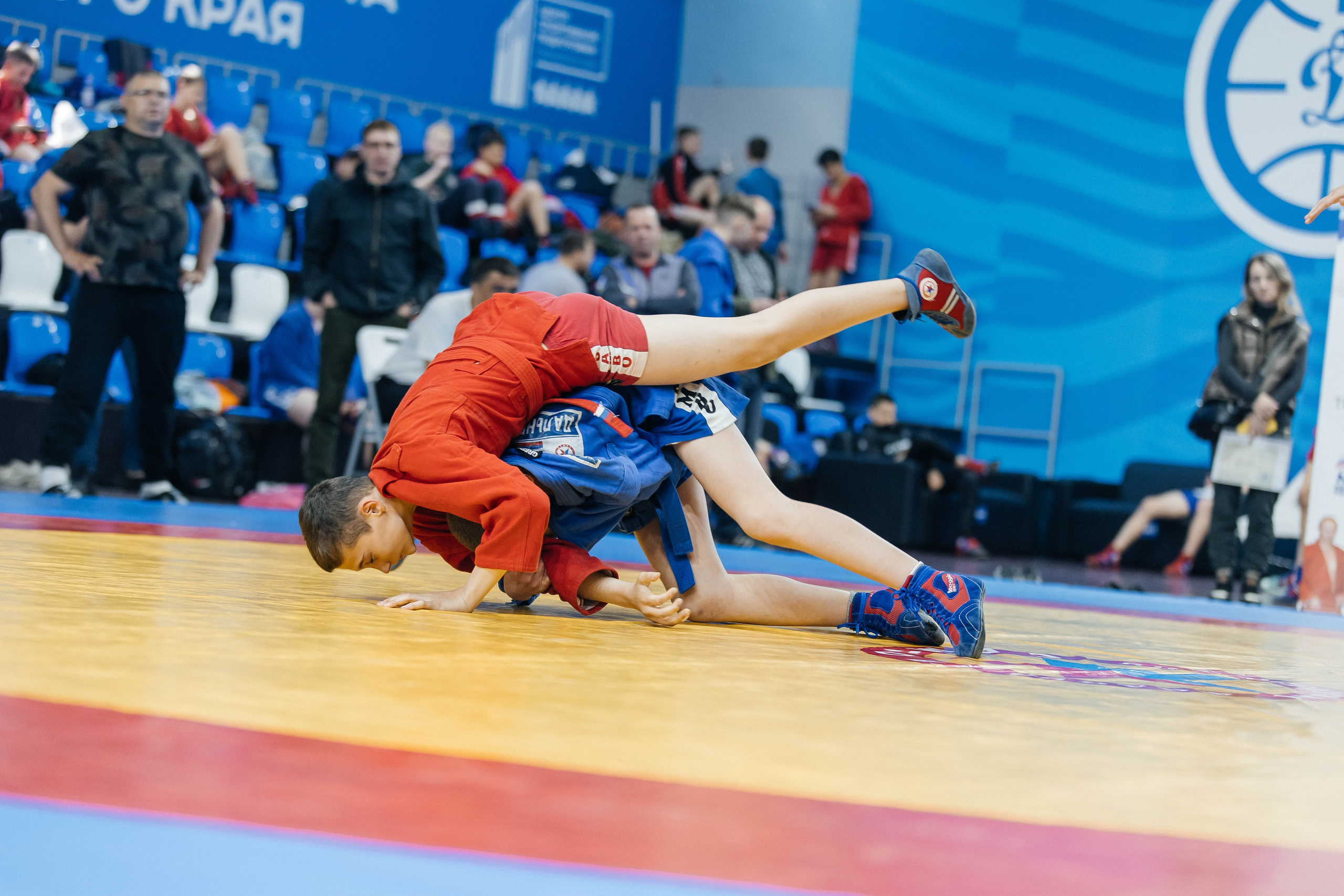 Sambo Championship. Maxim Tsoy Photography