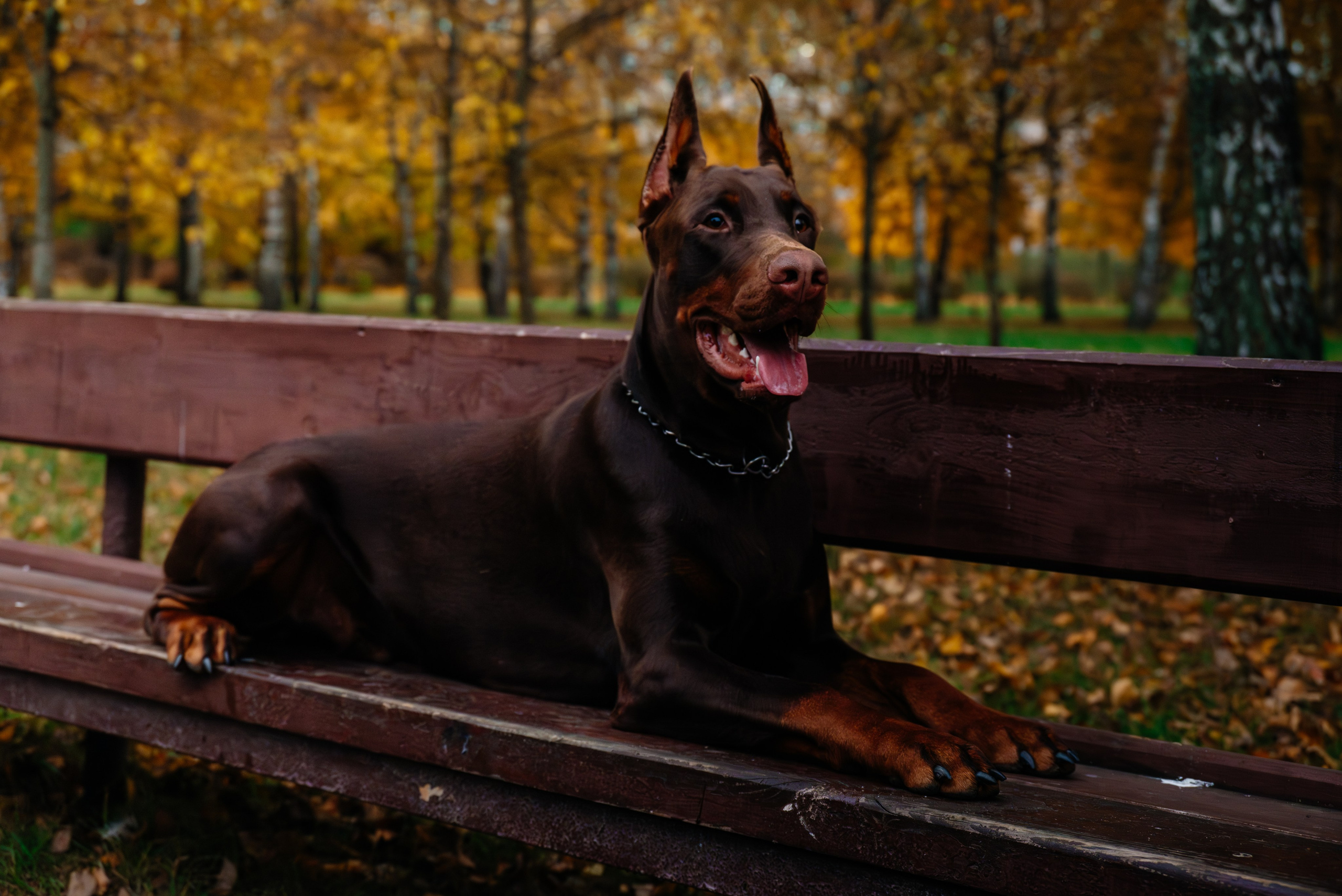 Семья Стенцель. Юлия Чайко, фотограф в Минске