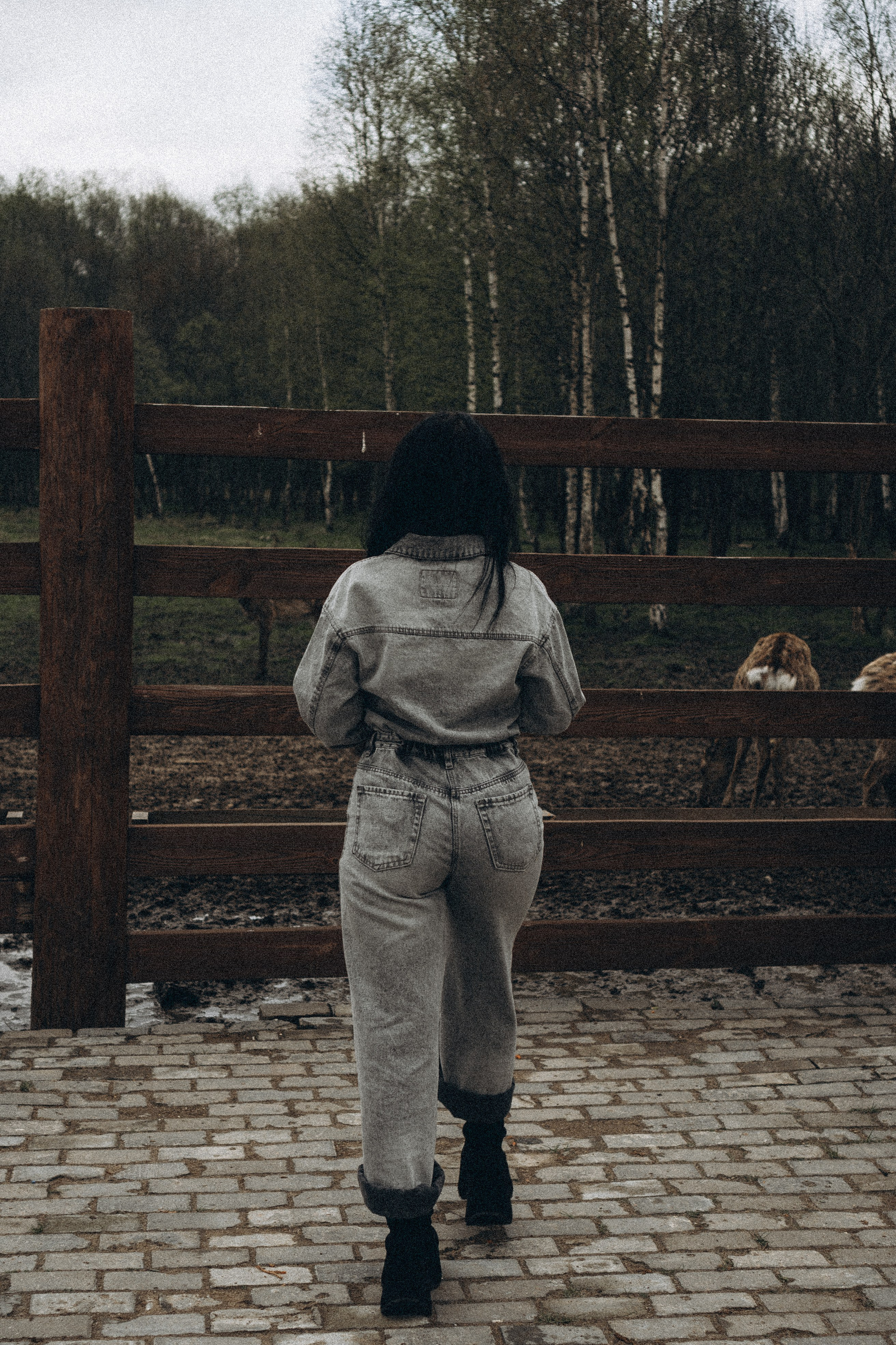 ОЛЕНЬЯ ФЕРМА В ТВЕРИ. Профессиональный фотограф, Санкт-Петербург — Виктория Богомолова