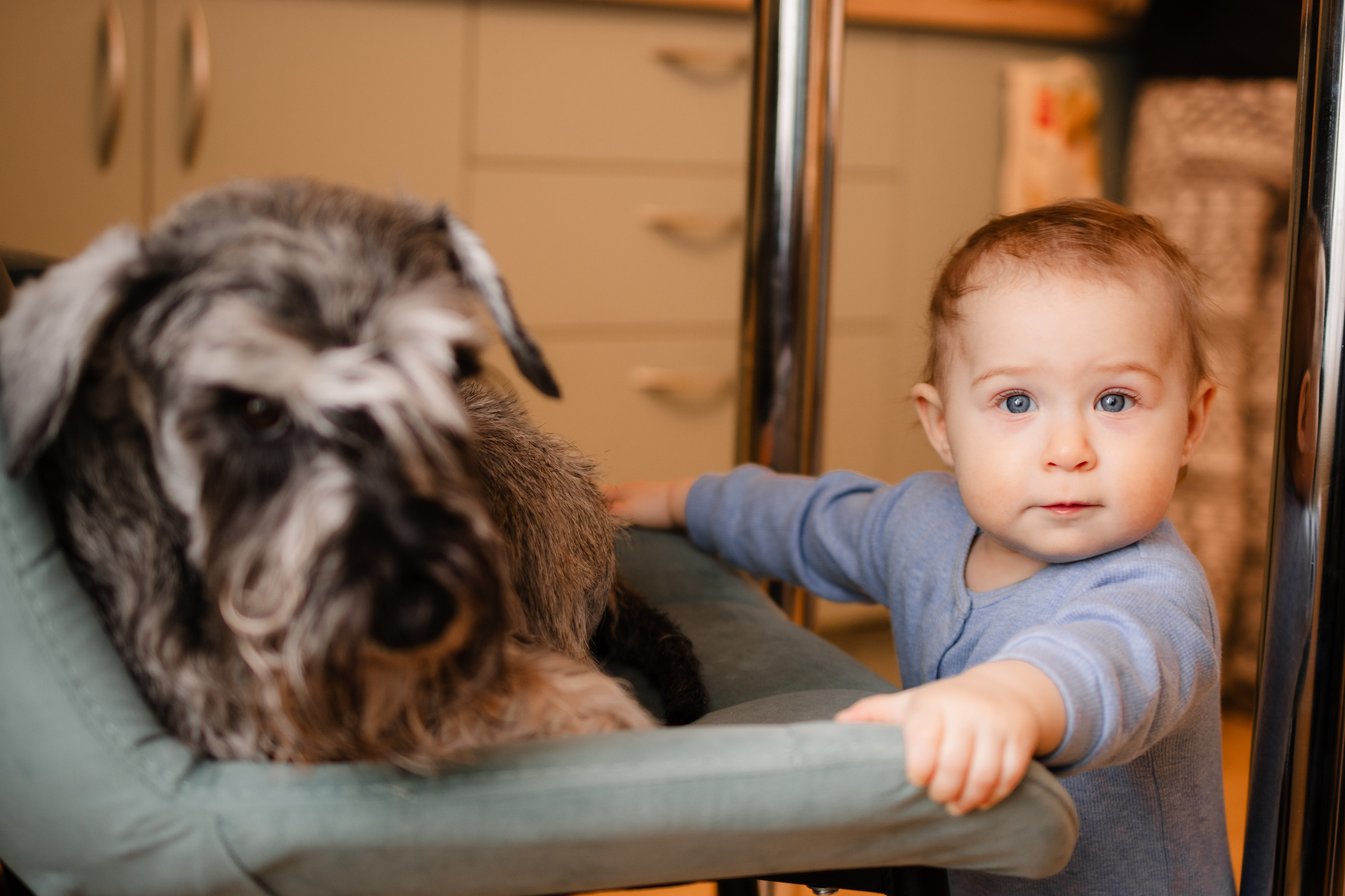 Уютный фотограф в Москве Елена Бенчи