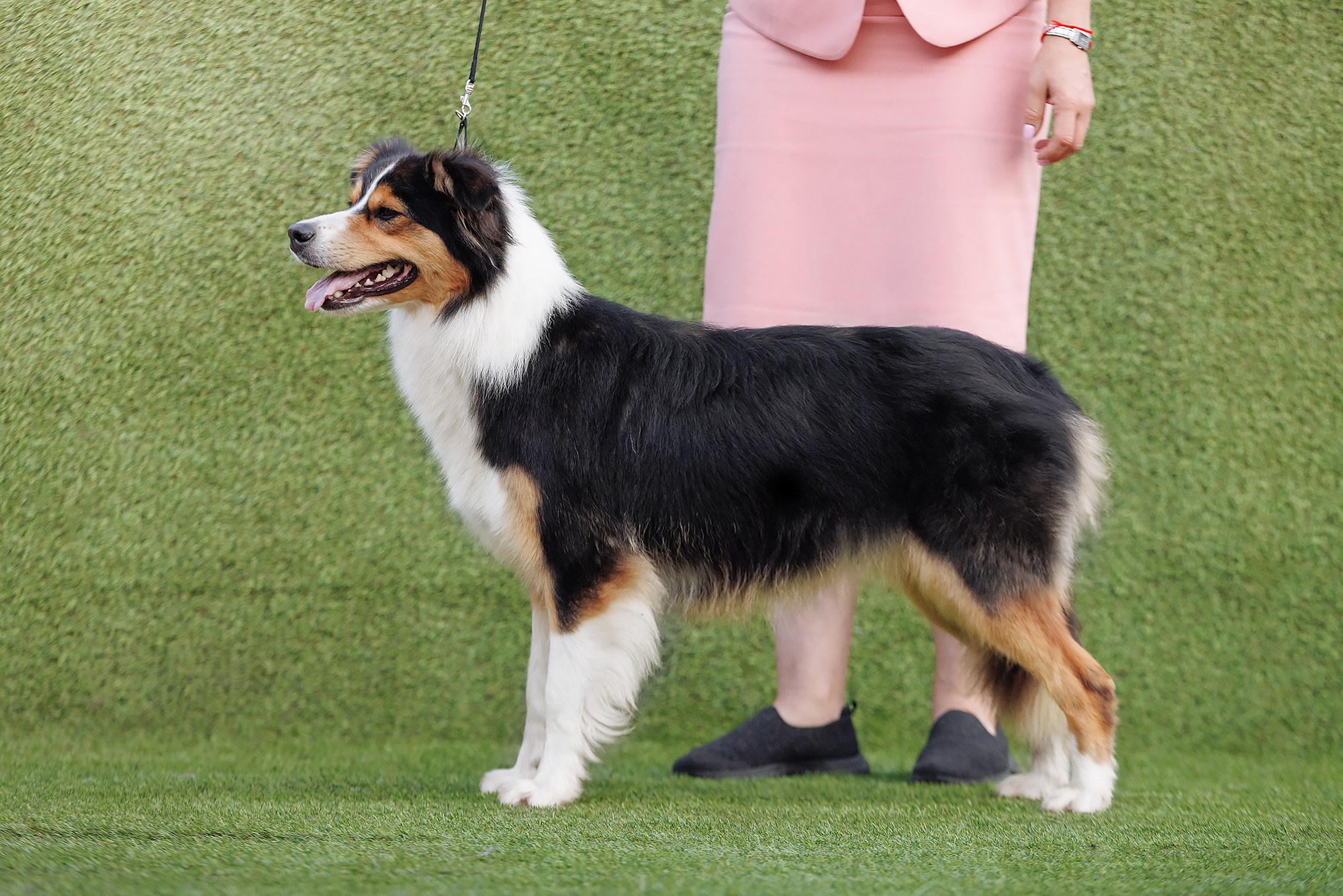 Трава у дома. О нас